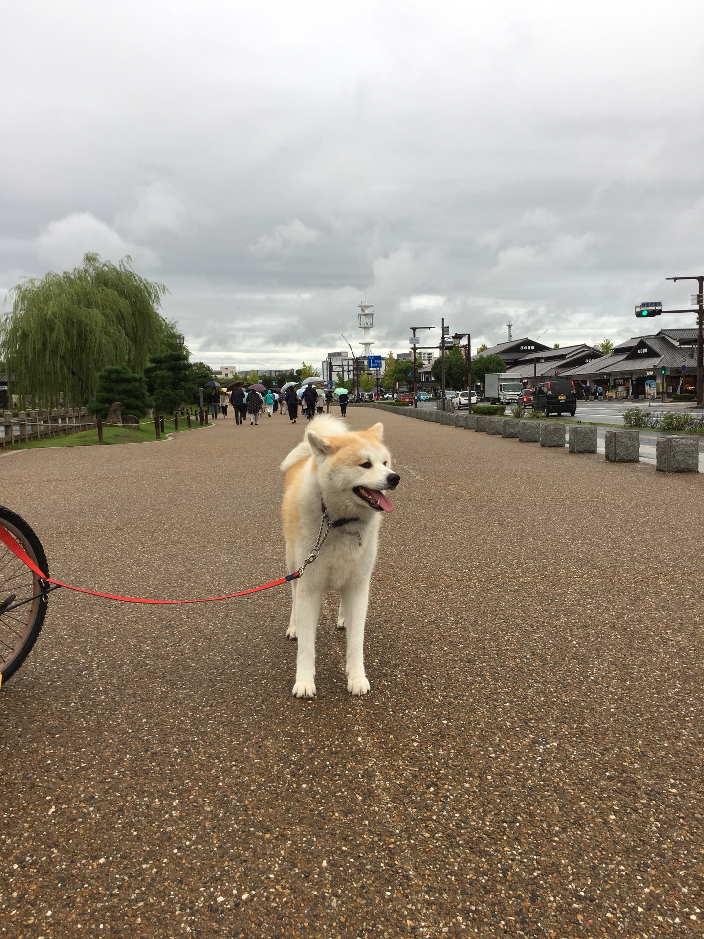 日本自助遊攻略