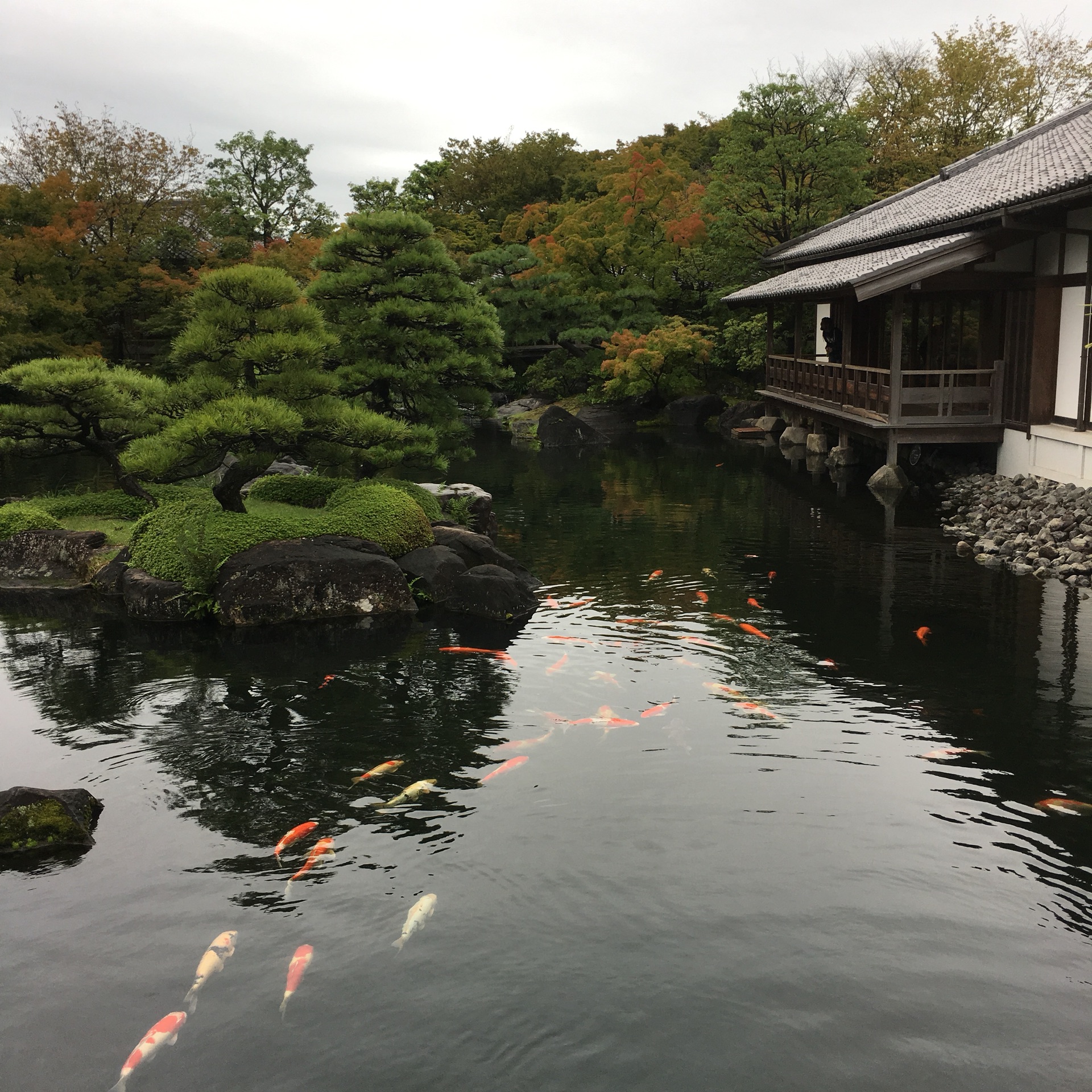 日本自助遊攻略