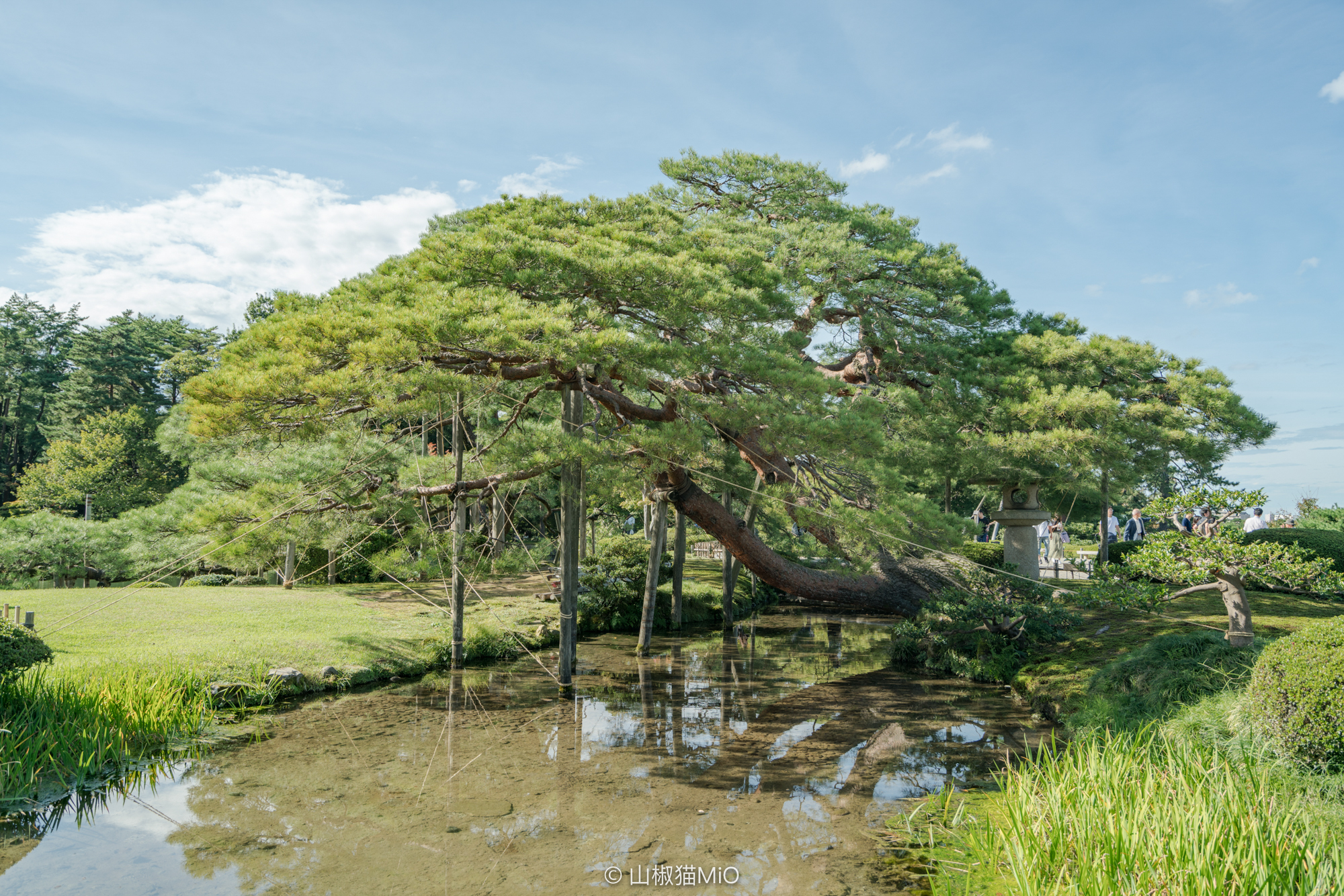 白川鄉自助遊攻略