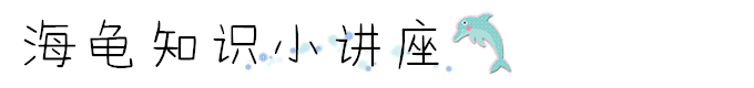 馬達京島自助遊攻略