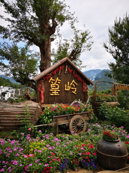 走马观花什么意思 wKgED1unoYyAEkXVABOM0KuLOs429.jpeg?imageView2%2F2%2Fw%2F600%2Fh%2F600%2Fq%2F90