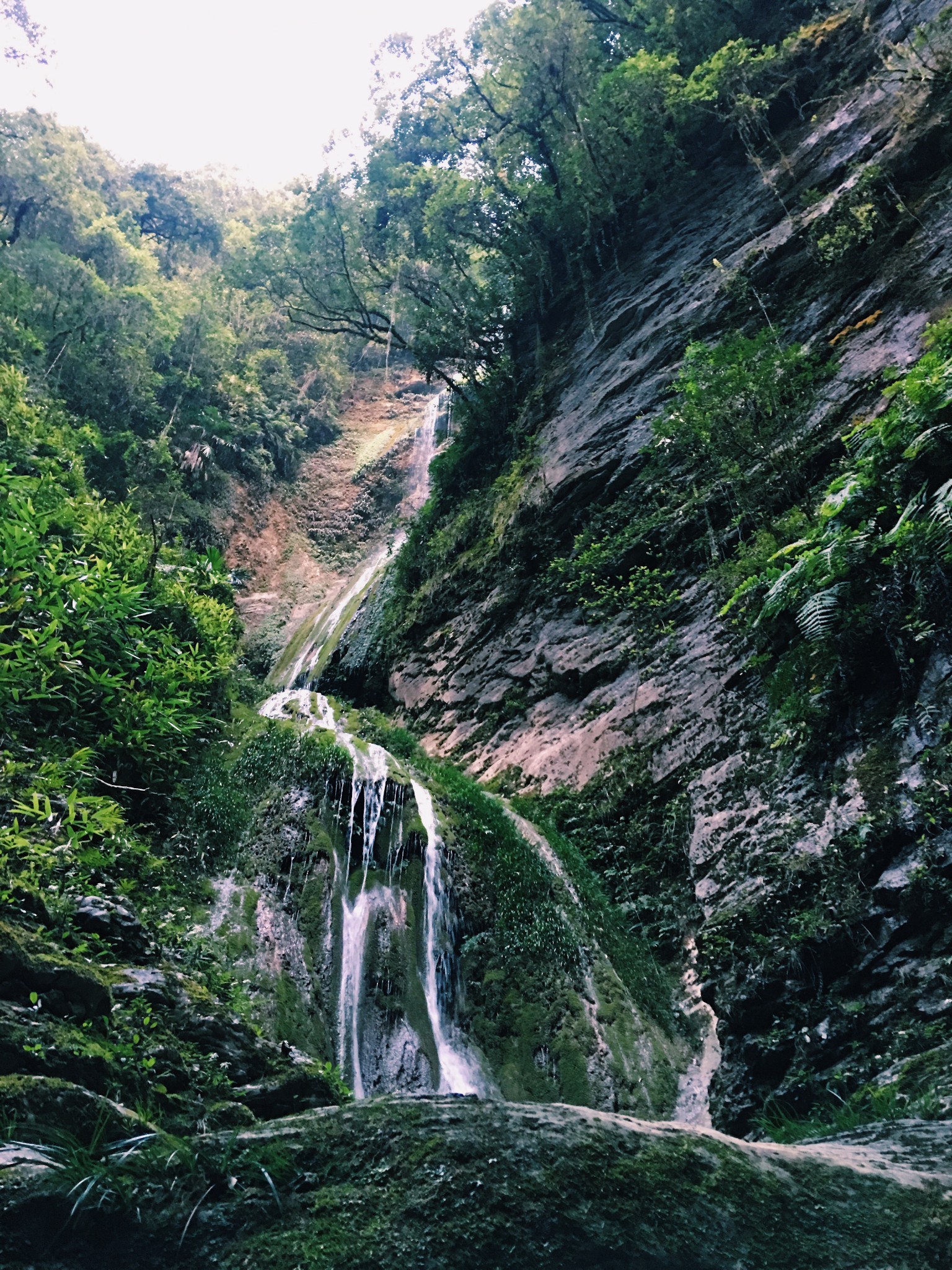 wKgED1vpkLWAe2_wABDAzF8FSwQ47.jpeg?imageView2%2F2%2Fw%2F600%2Fh%2F600%2Fq%2F90