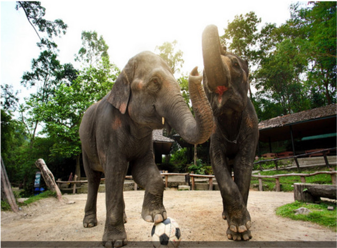 柳州出发泰国曼谷芭提雅6天5晚跟团游(两人起出发 出海游 沙美岛火舞