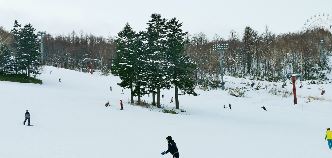 北海道自助遊攻略