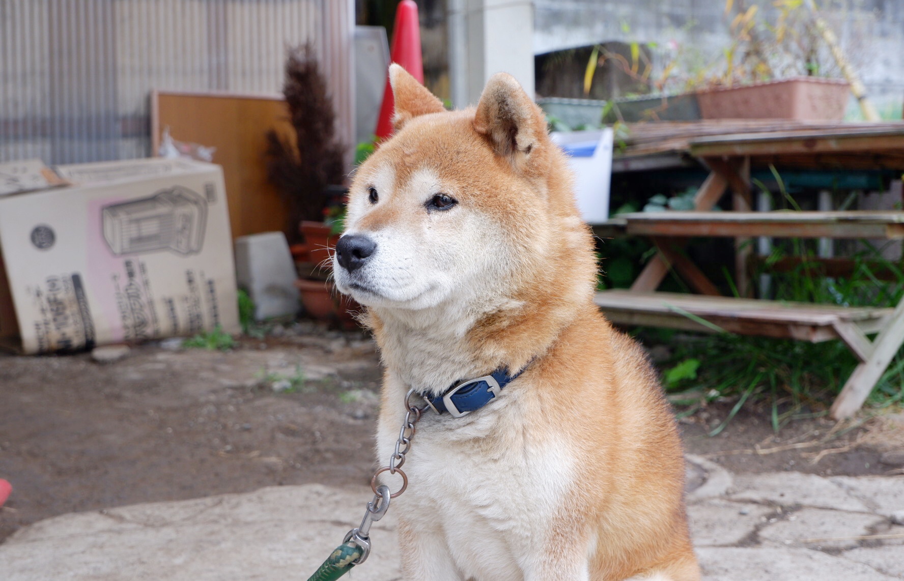 輕井澤自助遊攻略