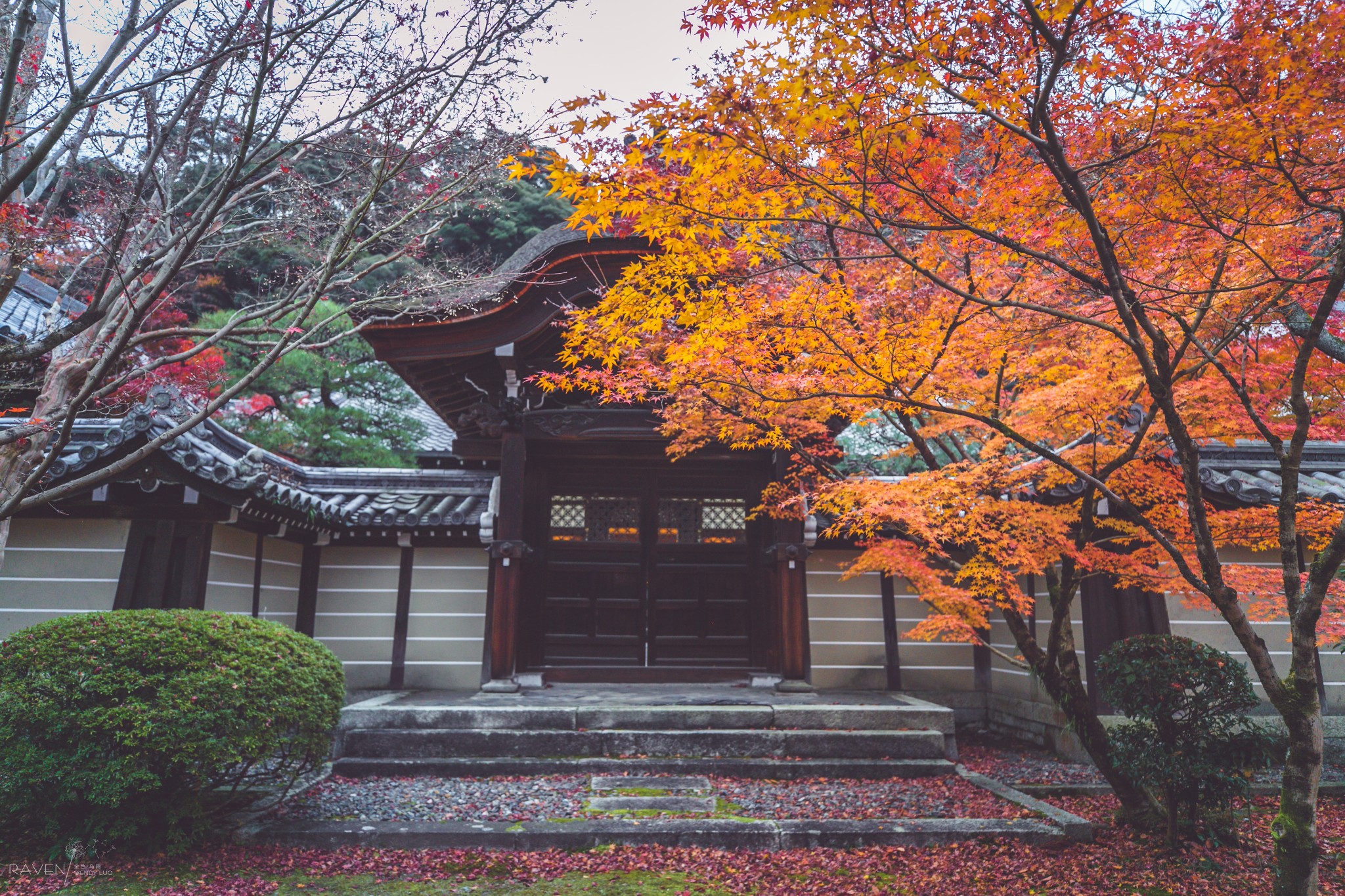 京都自助遊攻略