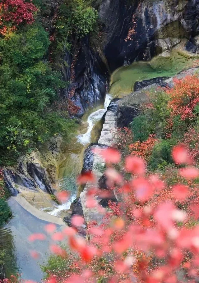 夹河乡白铺村有多少人口_宁夏有多少人口(3)