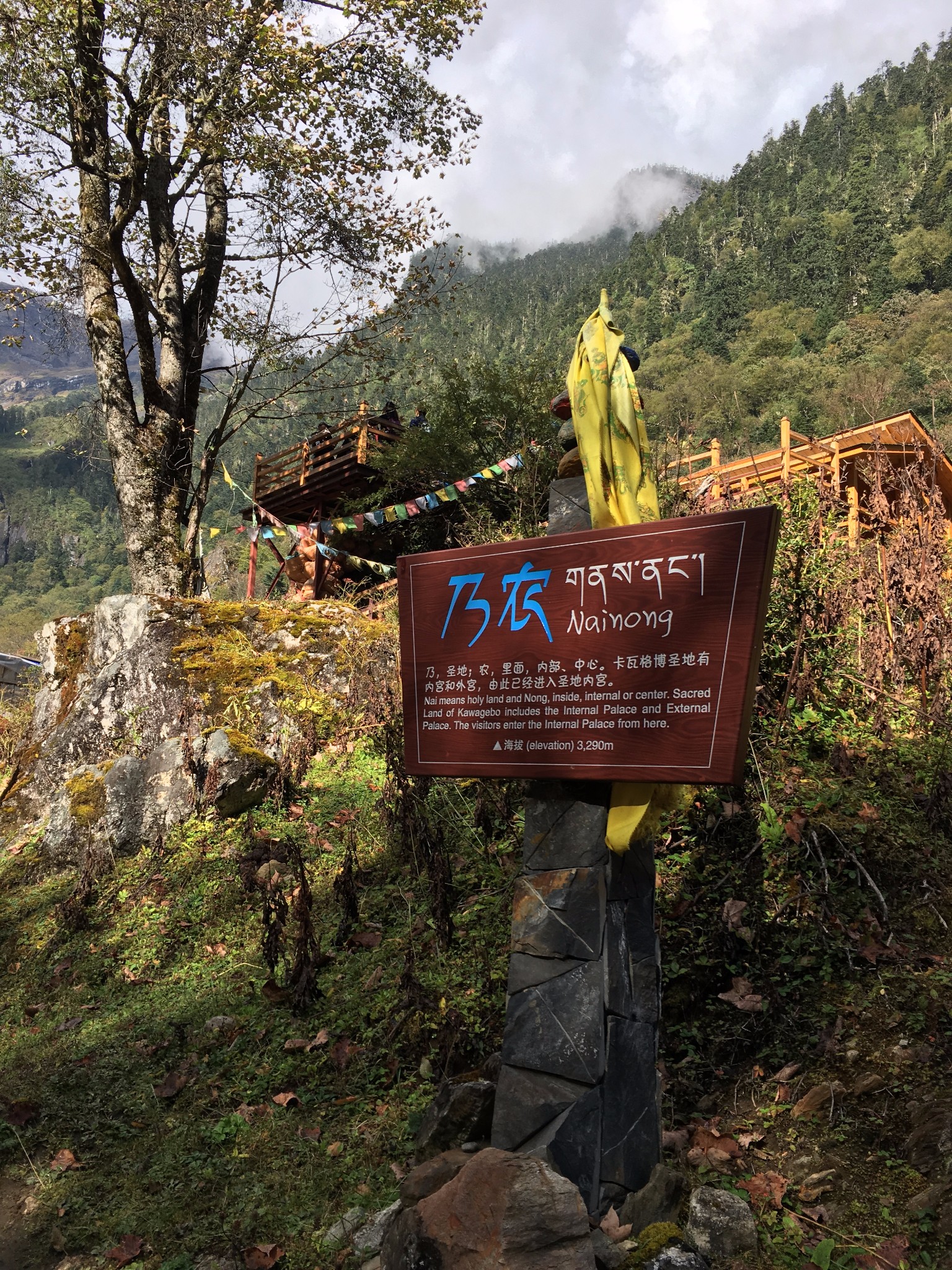 雨崩自助遊攻略