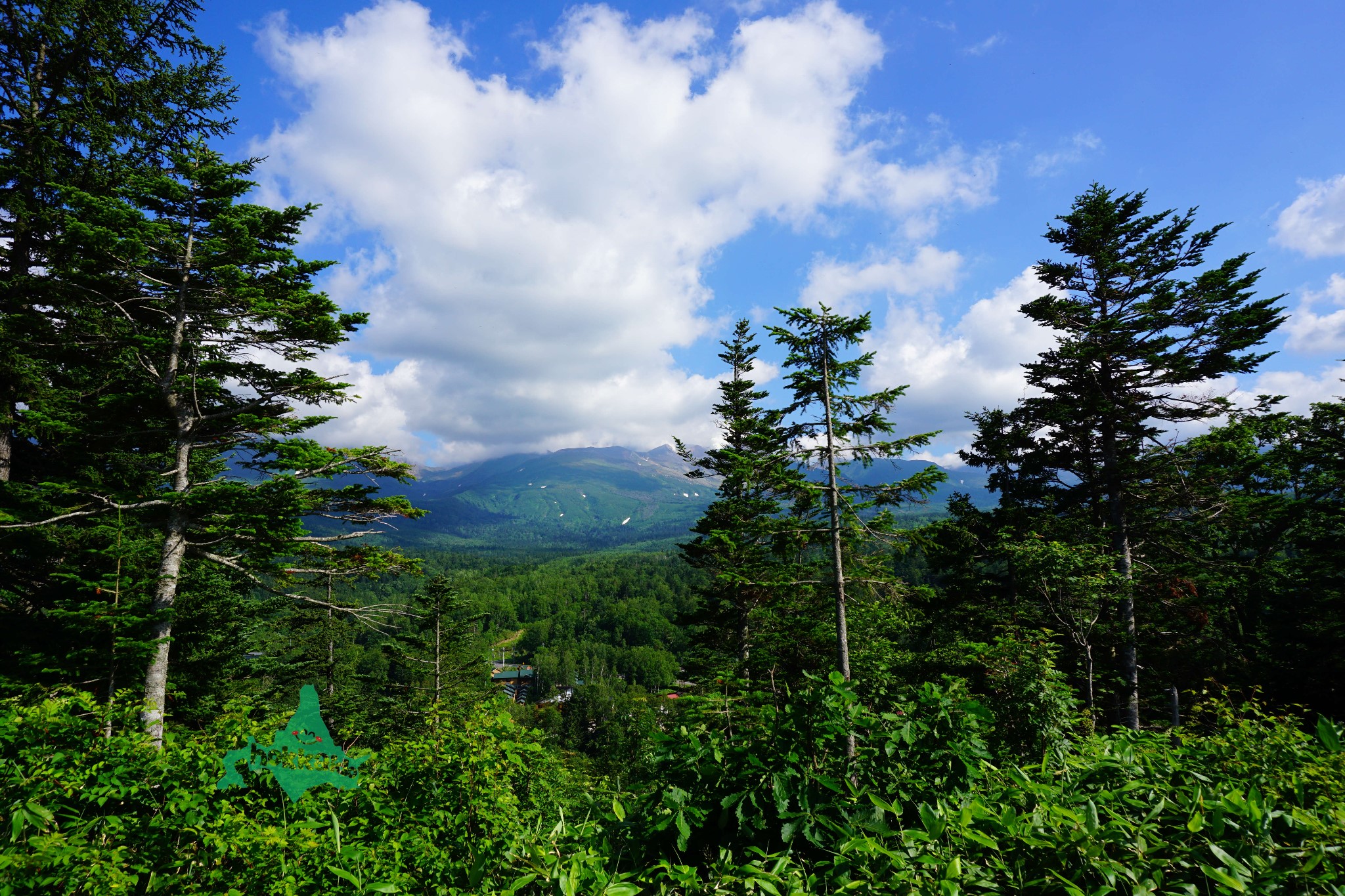 北海道自助遊攻略