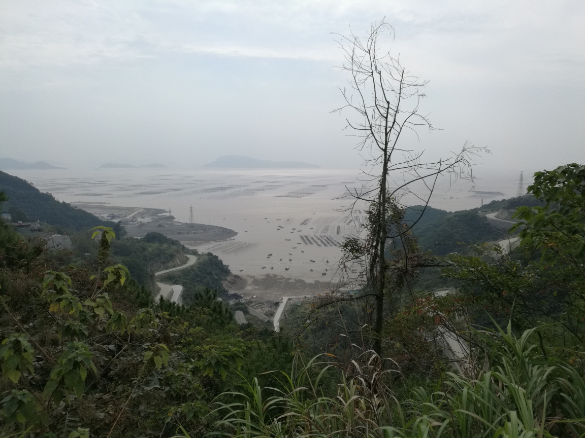 回复游记:人行洞头之十七——霓屿第一峰山尖