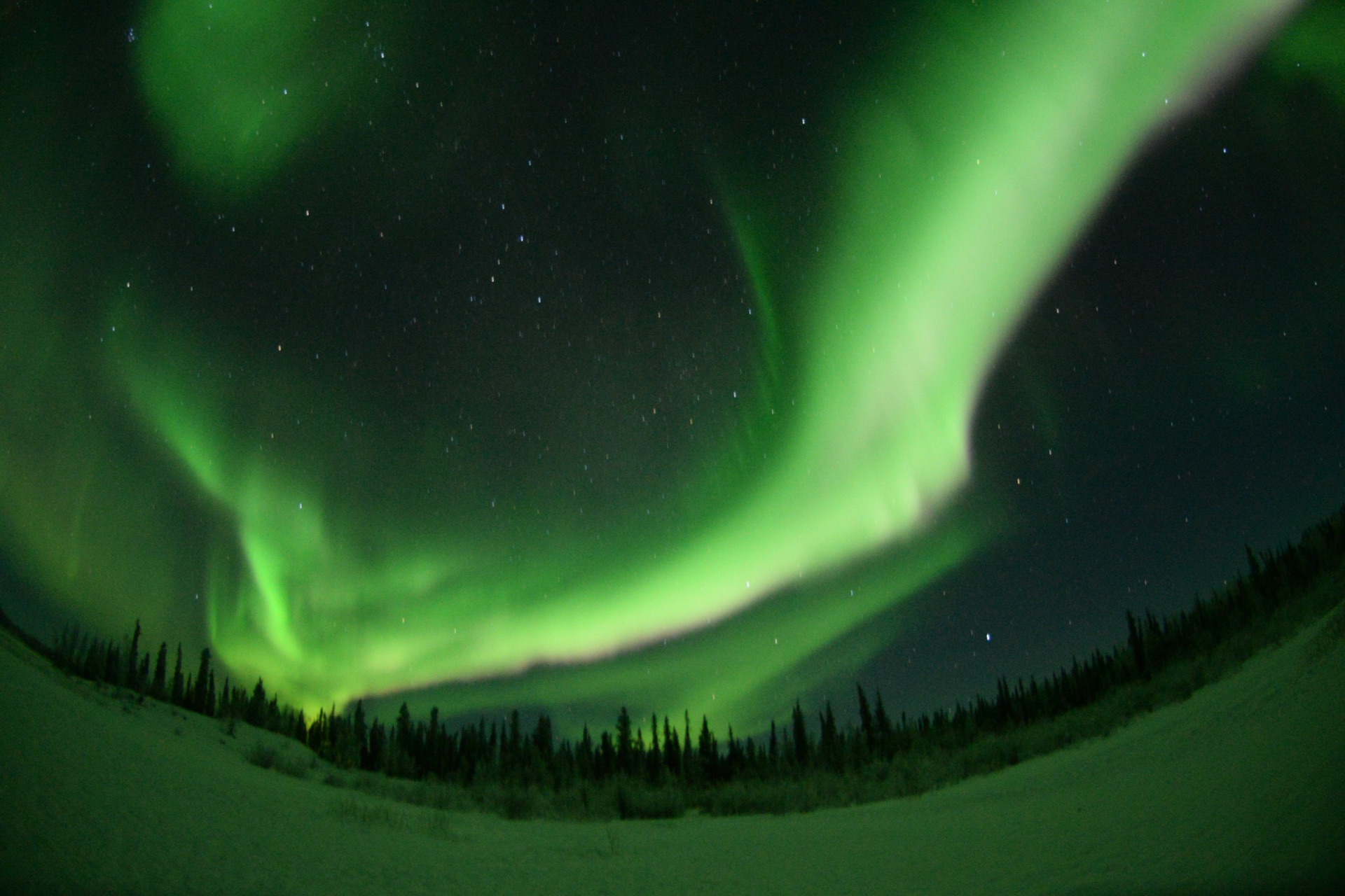 wKgED1wtuJWAAymiAAdAqVzxJmY85.jpeg?imageView2%2F2%2Fw%2F600%2Fh%2F600%2Fq%2F90