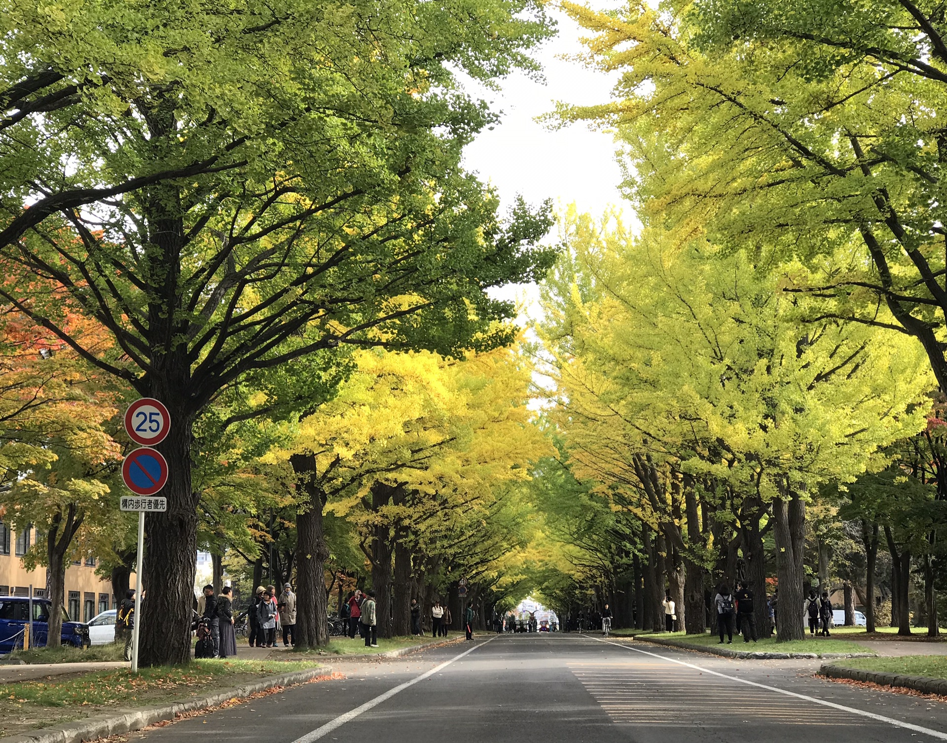 北海道自助遊攻略