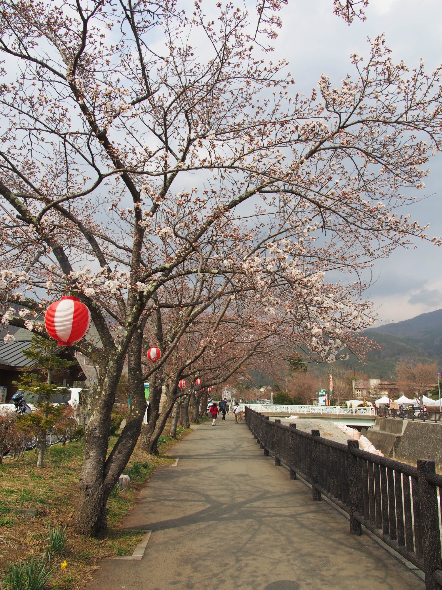 京都自助遊攻略