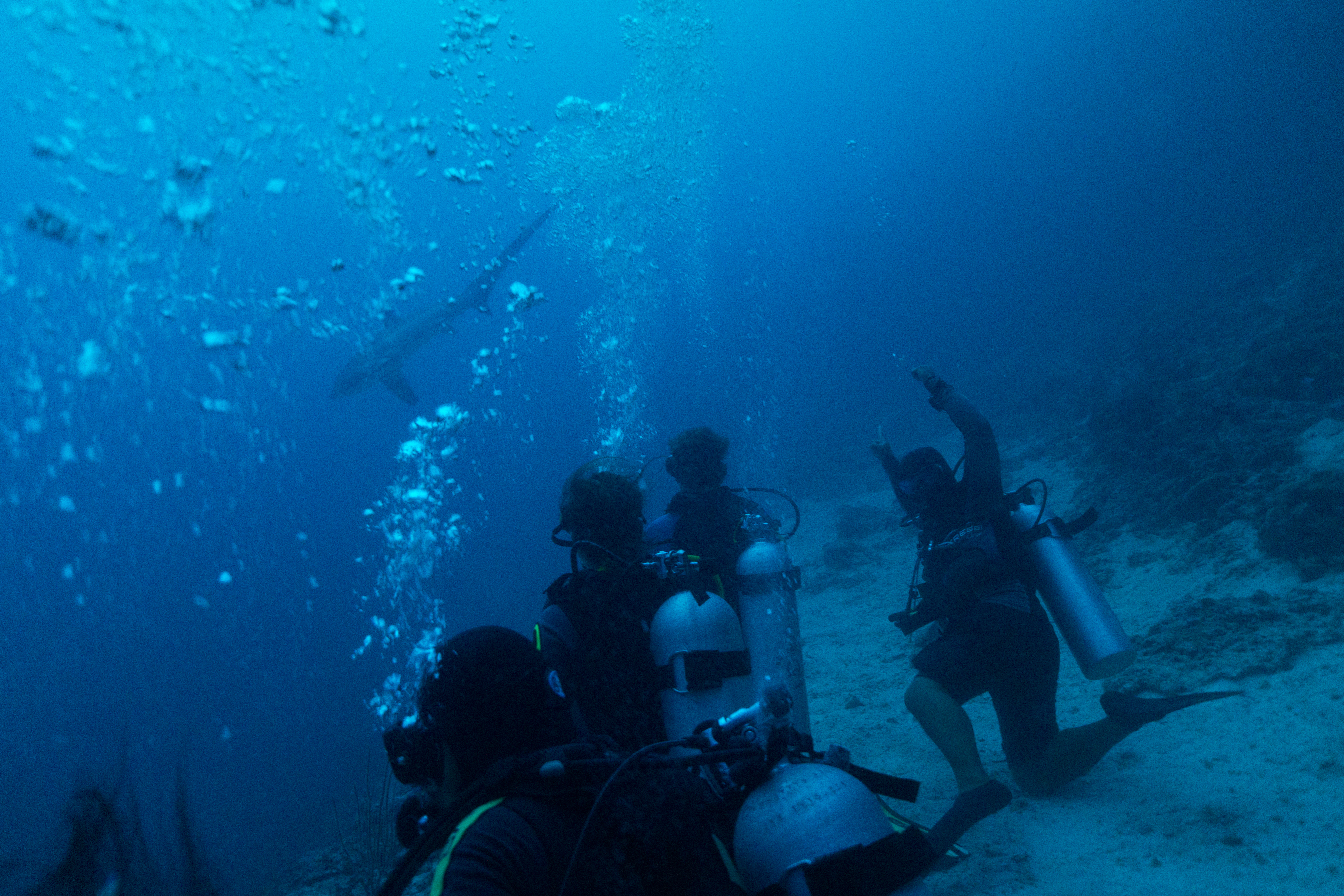 潜水为什么容易上瘾 聊聊你跟潜水有关的故事 时习社区