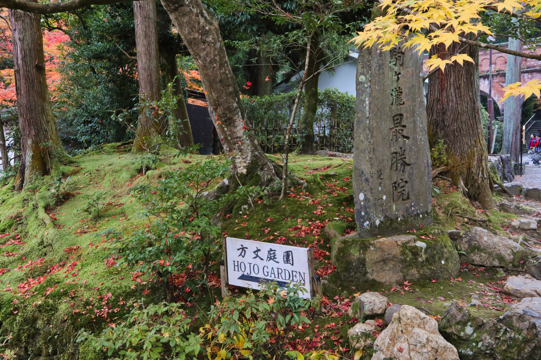 京都自助遊攻略