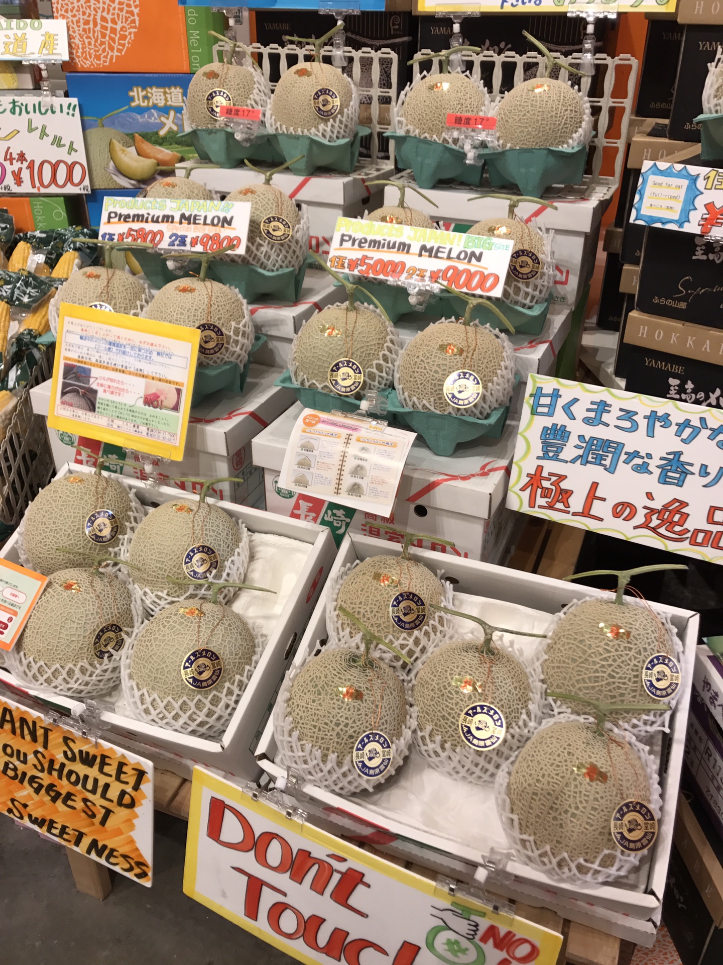 北海道自助遊攻略