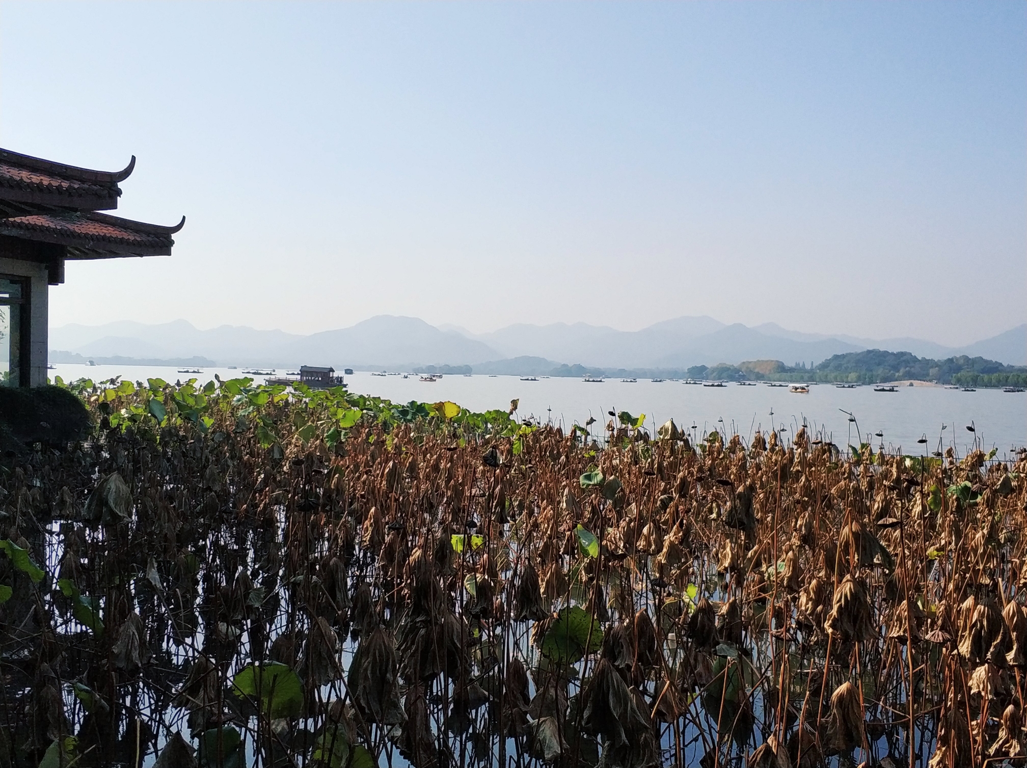 以一山,二塔,三岛,三堤,五湖为基本格局,著名.
