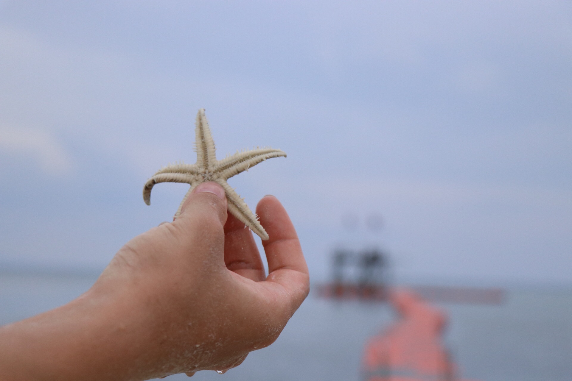 薄荷島自助遊攻略