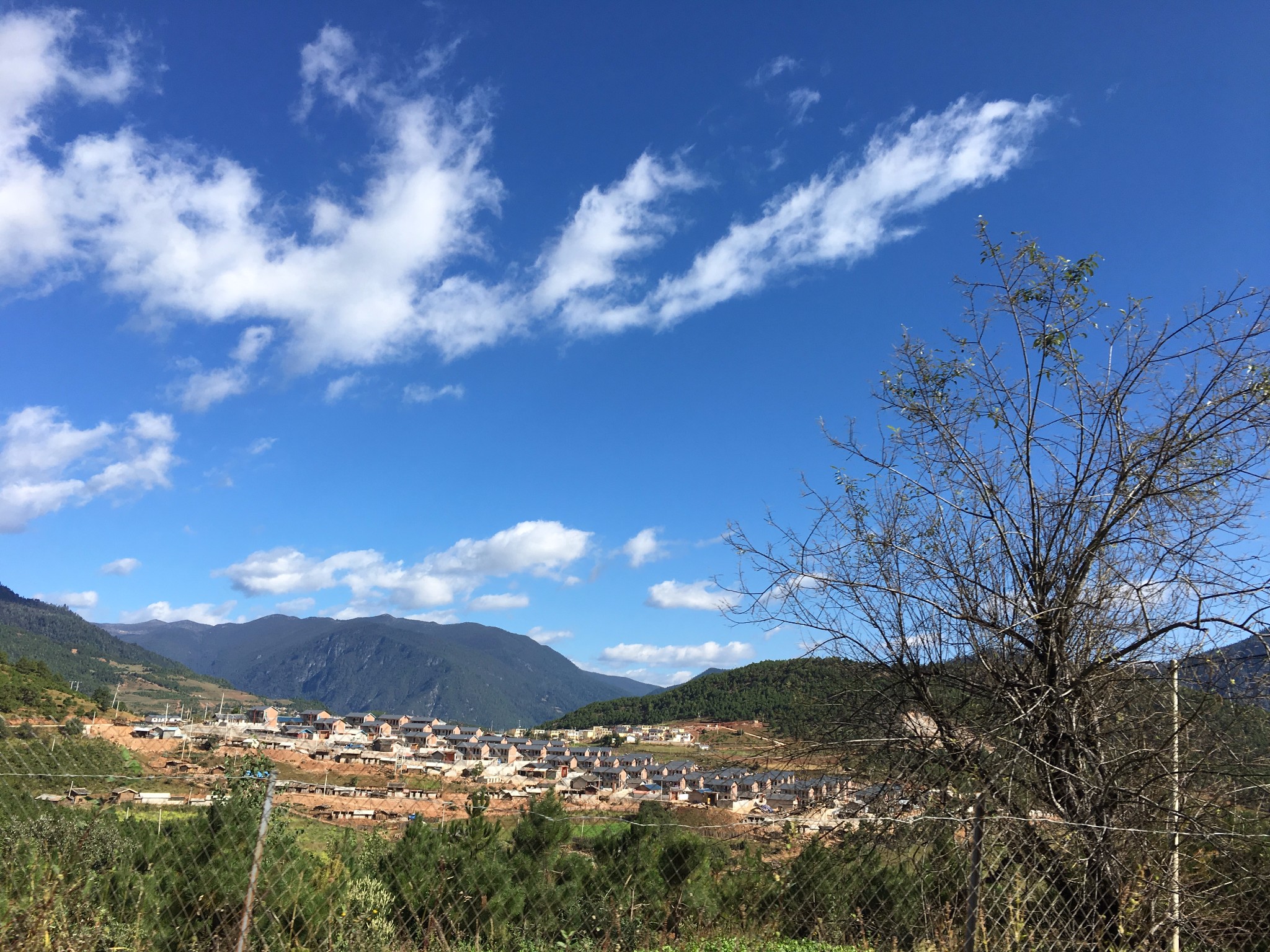 雨崩自助遊攻略