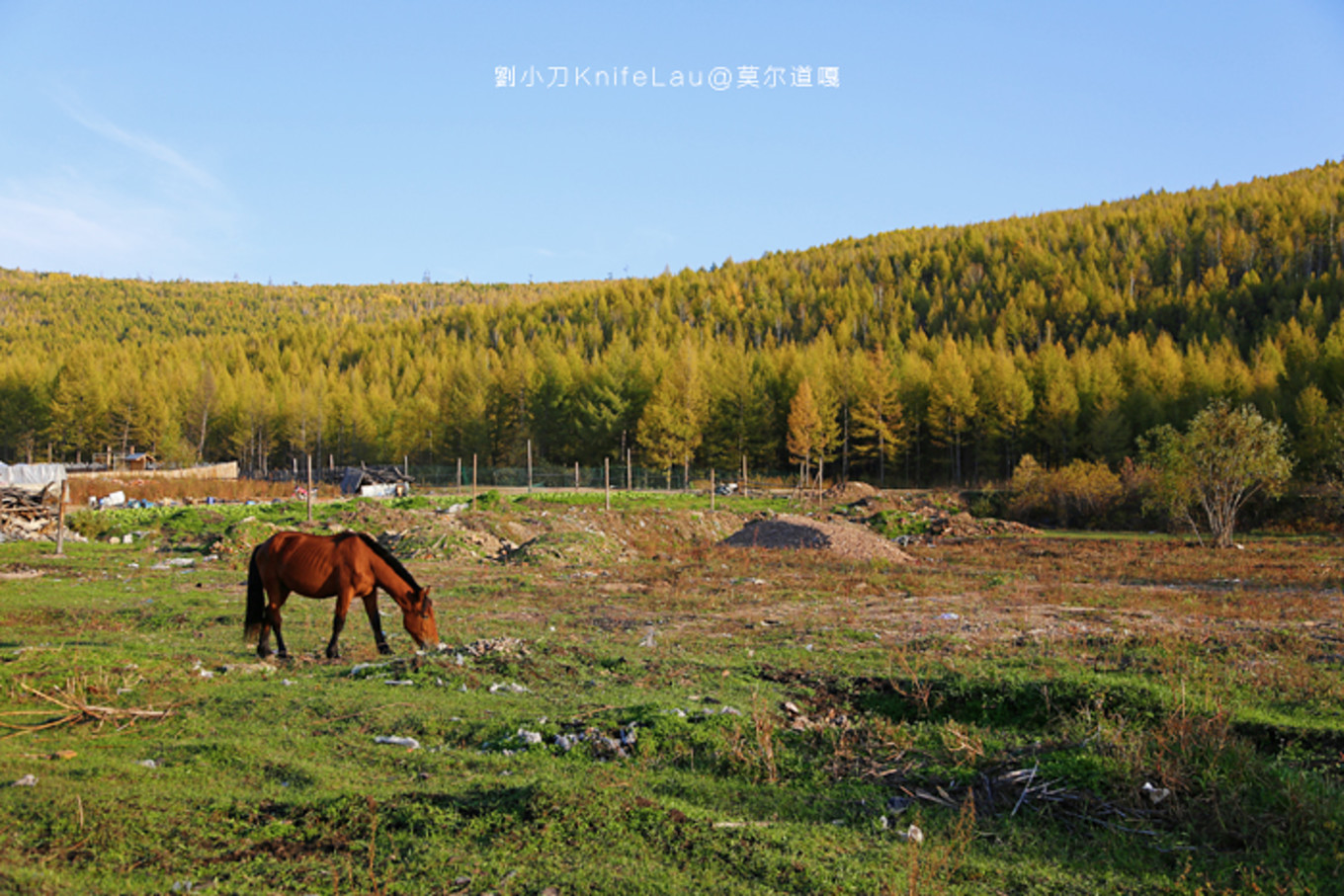 漠河自助遊攻略