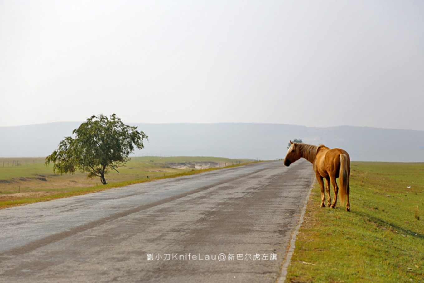 漠河自助遊攻略