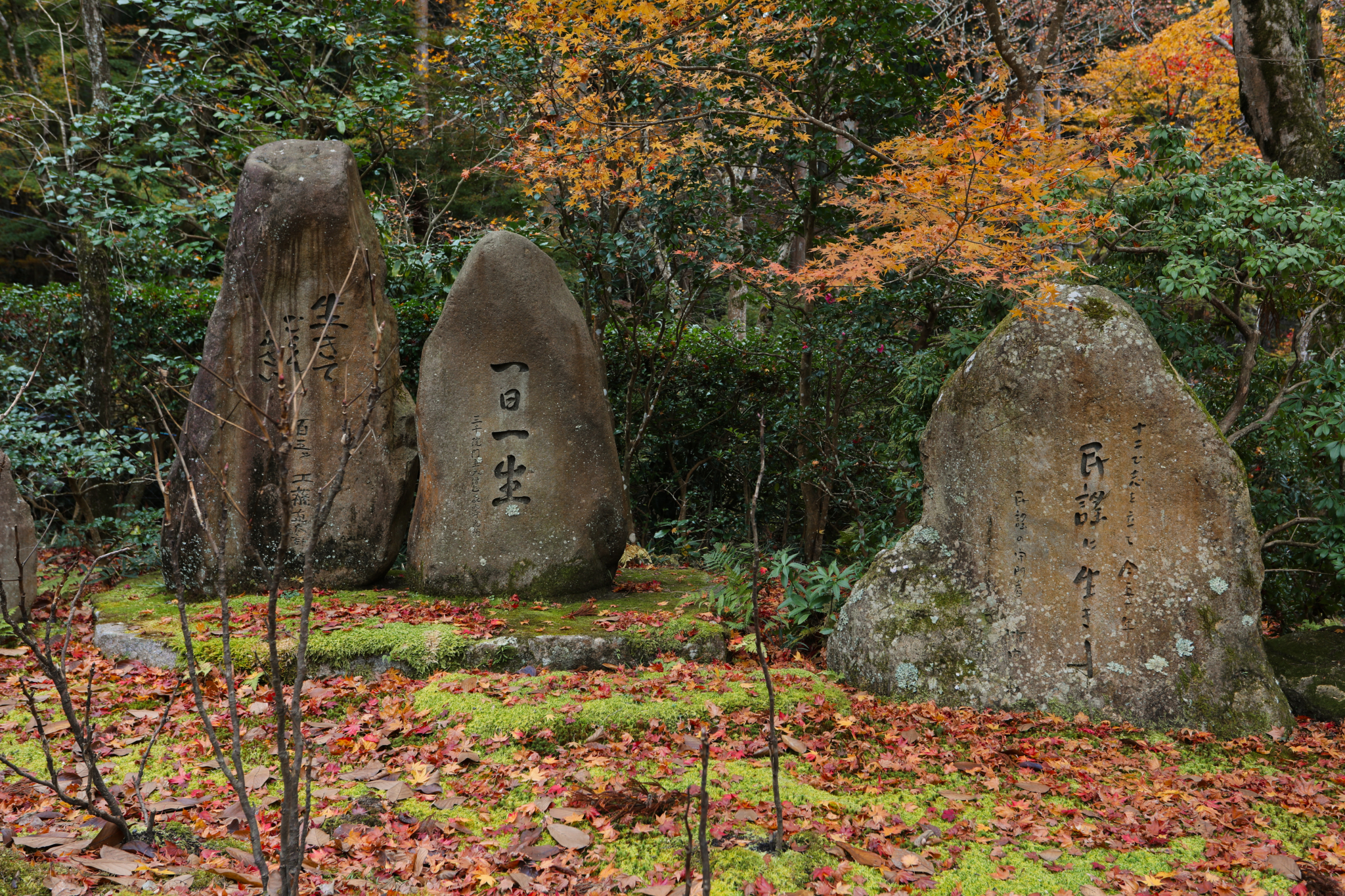 京都自助遊攻略