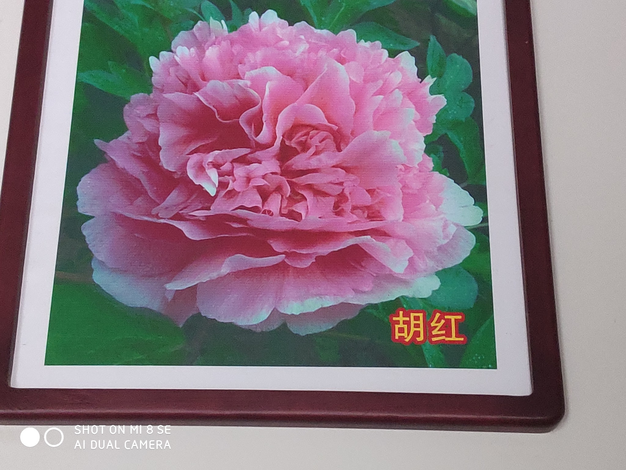 wKgED1uM5WSAcgizAAirizdrfZg27.jpeg?imageView2%2F2%2Fw%2F600%2Fh%2F600%2Fq%2F90