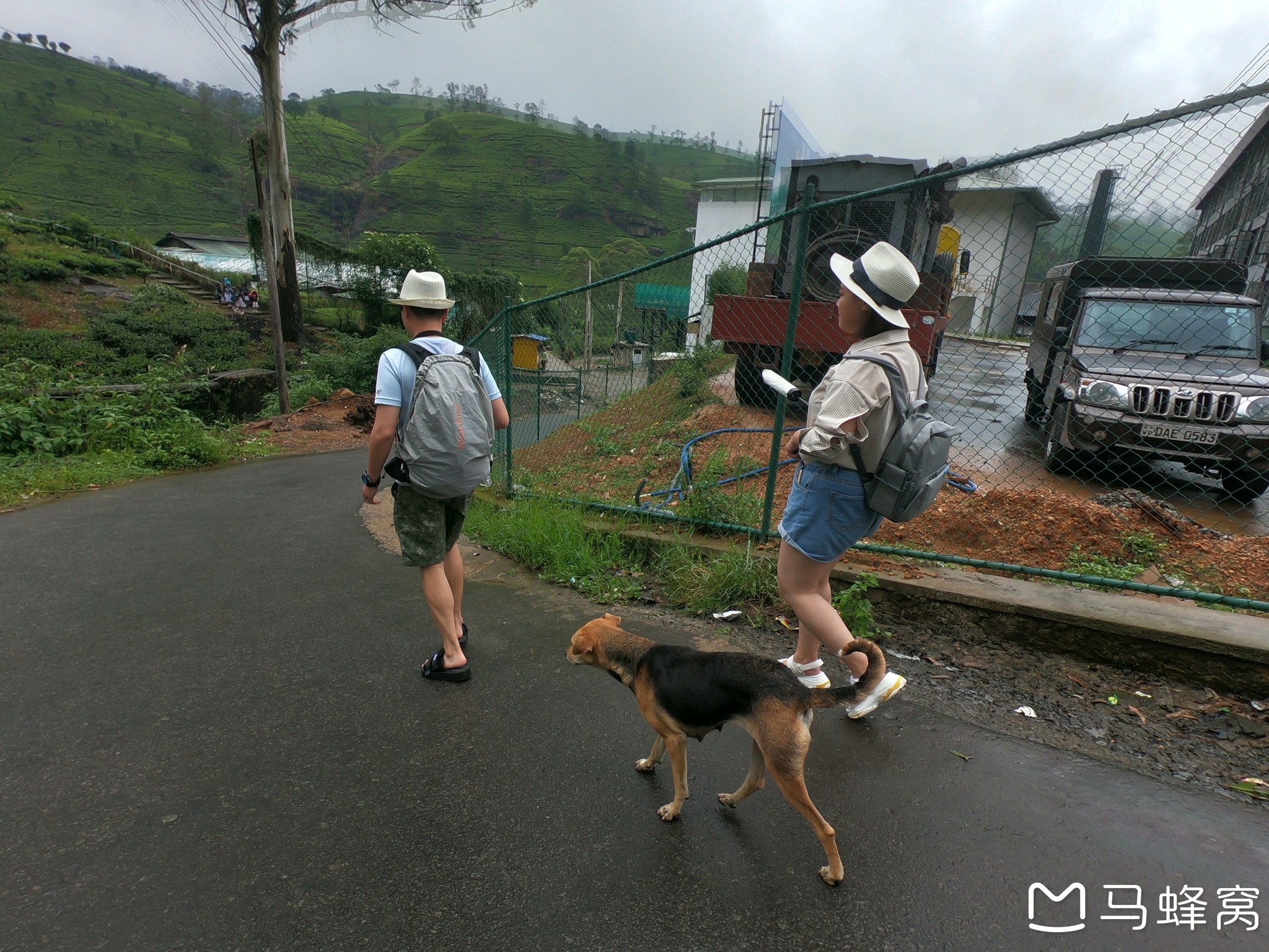 斯裡蘭卡自助遊攻略