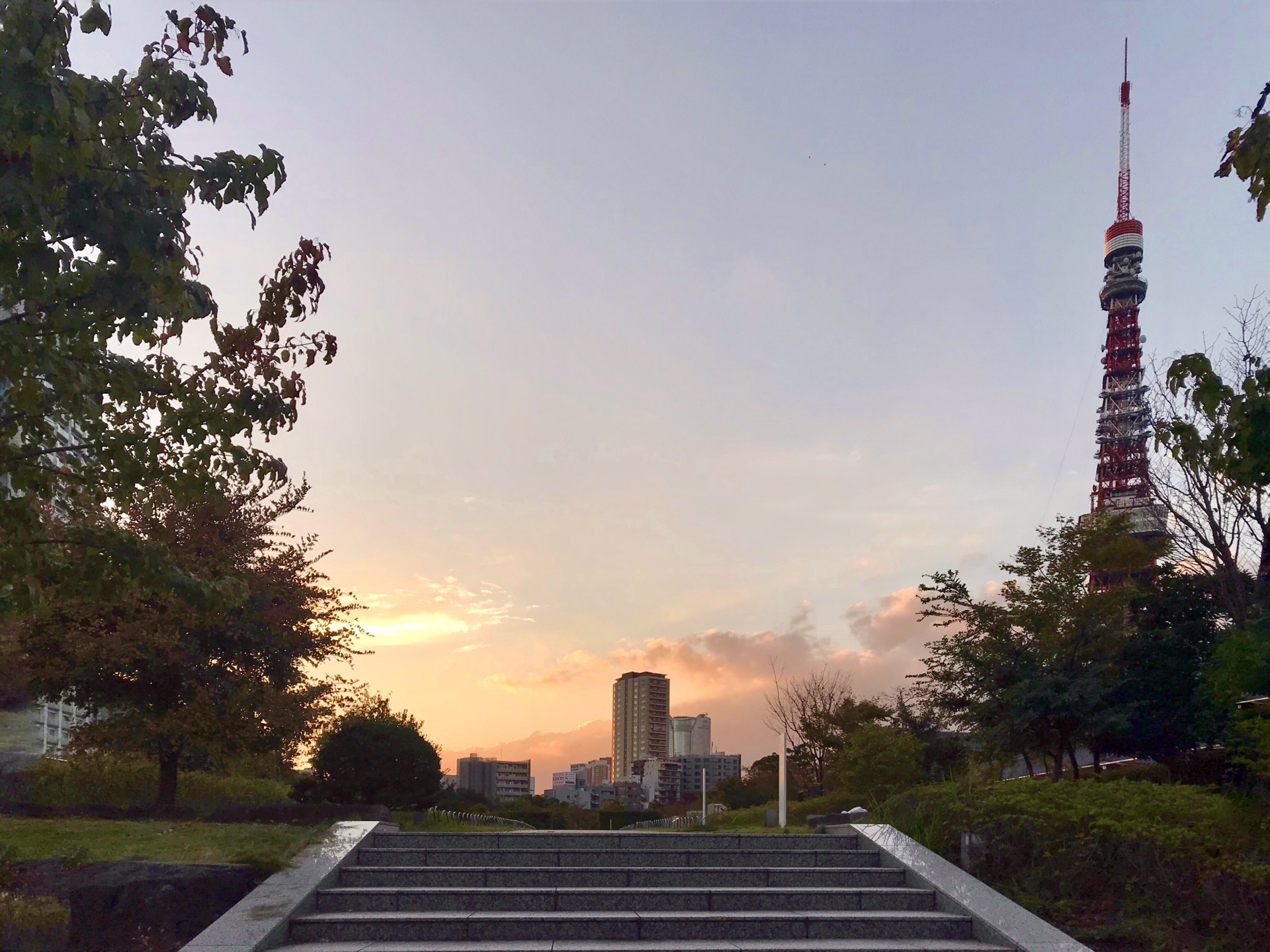 東京自助遊攻略