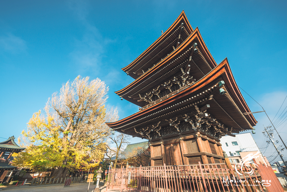 名古屋自助遊攻略