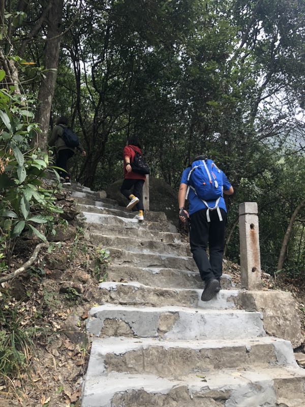 wKgED1wwr9aAUwk-AAIglQfPnTc72.jpeg?imageView2%2F2%2Fw%2F680%2Fq%2F90%7CimageMogr2%2Fstrip%2Fquality%2F90