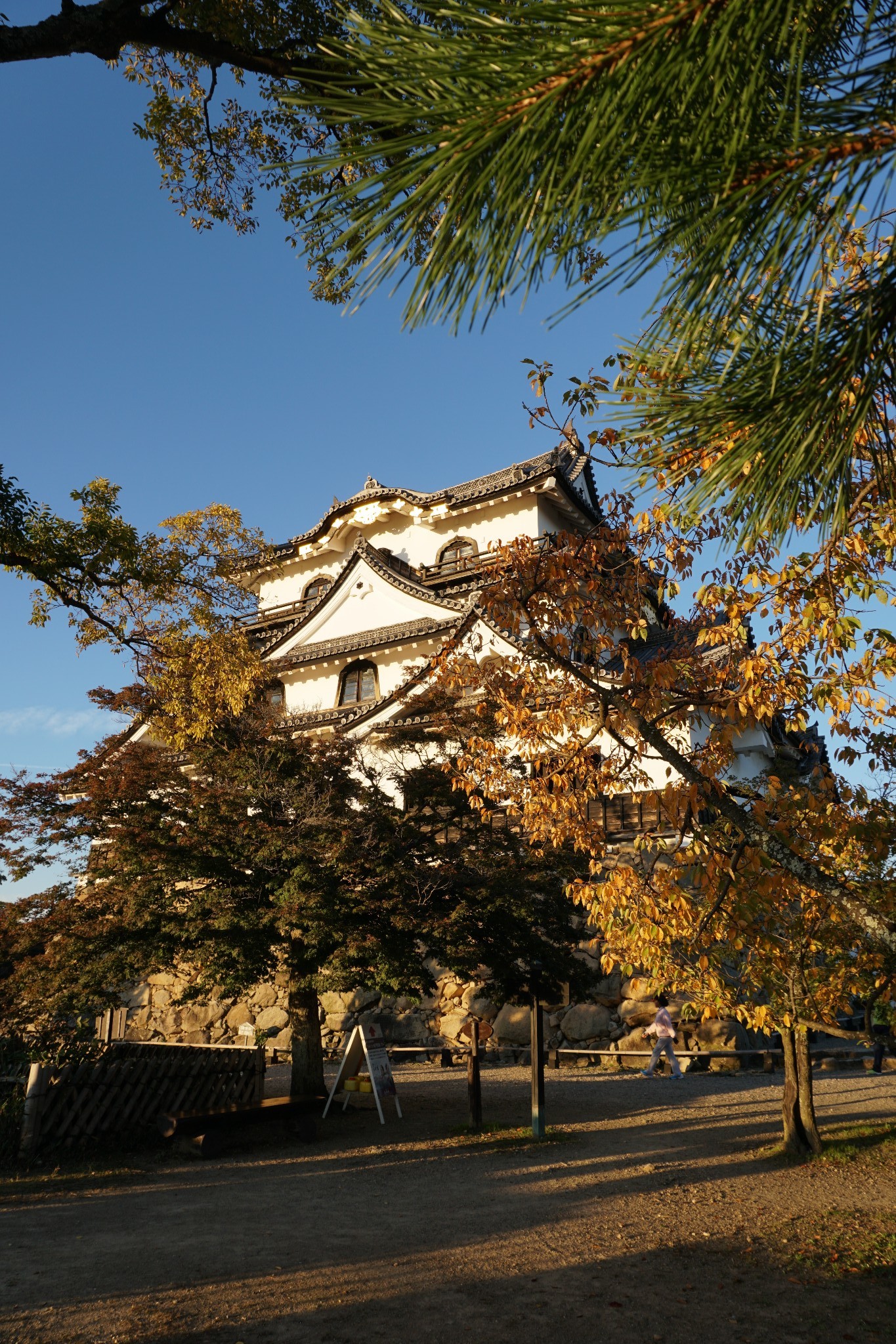 日本自助遊攻略