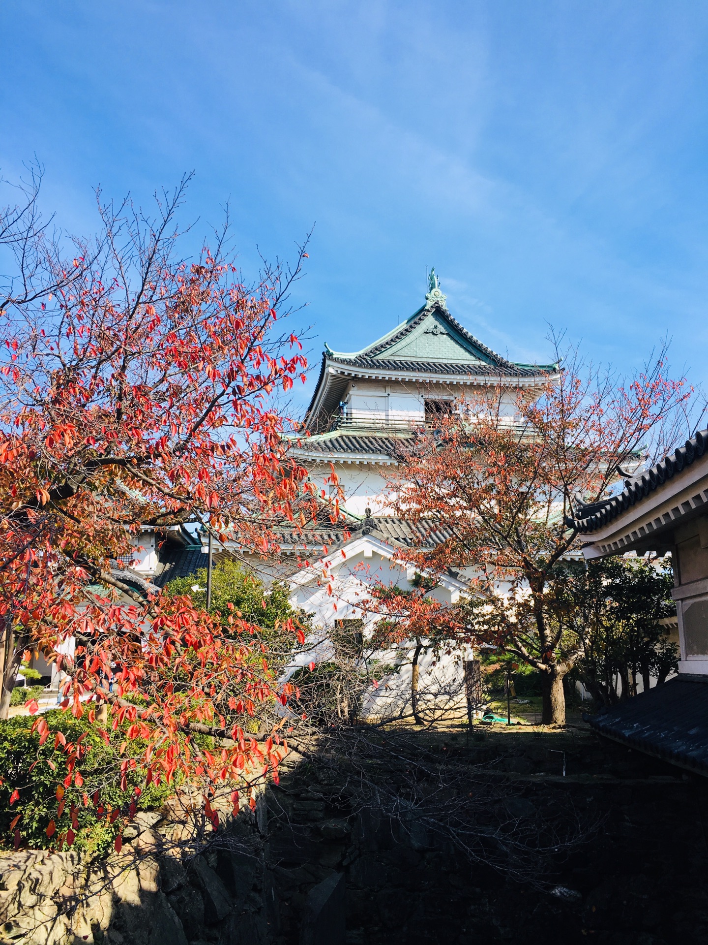 京都自助遊攻略