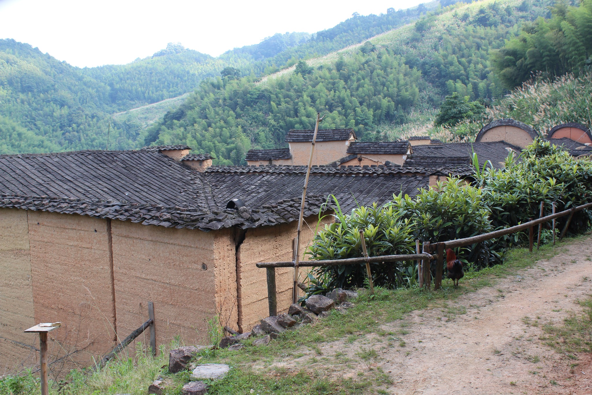 南平多少人口_南平各县人口排名图片(3)