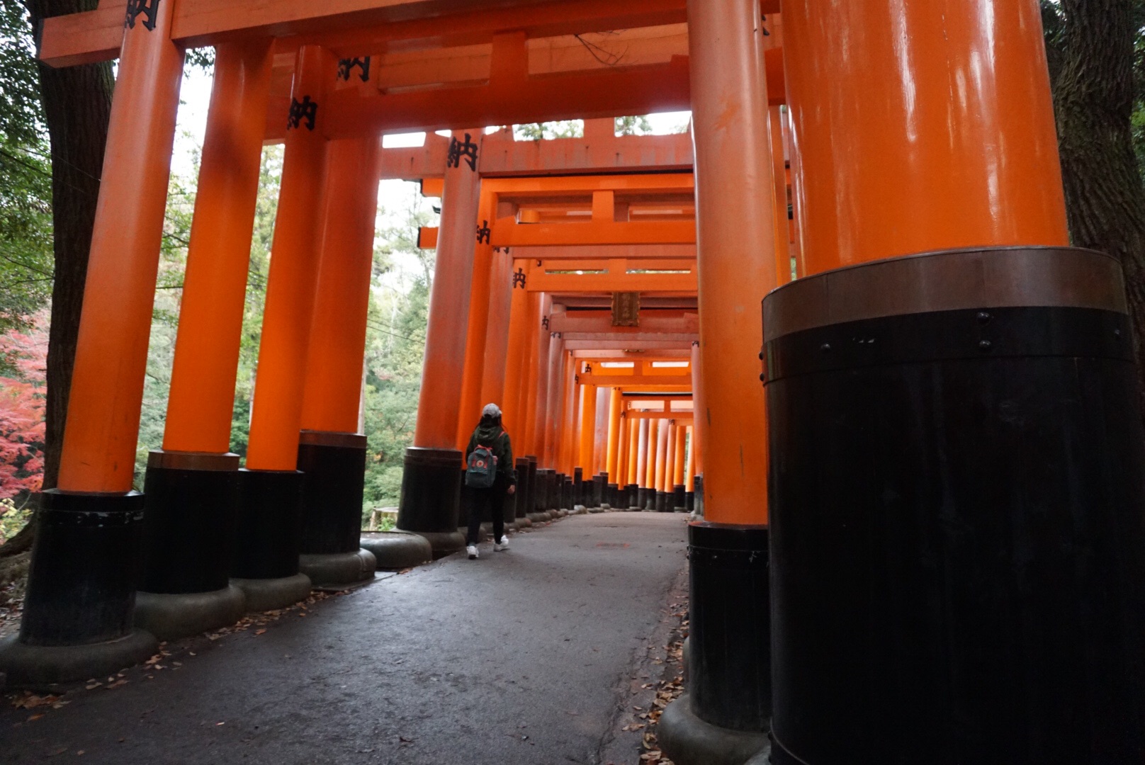 京都自助遊攻略