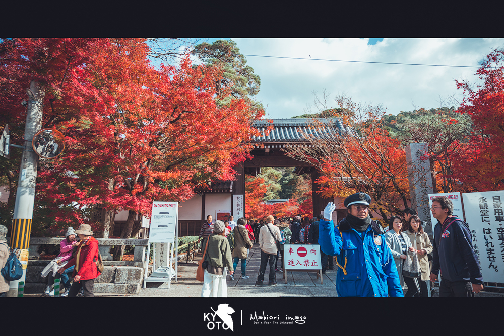 京都自助遊攻略