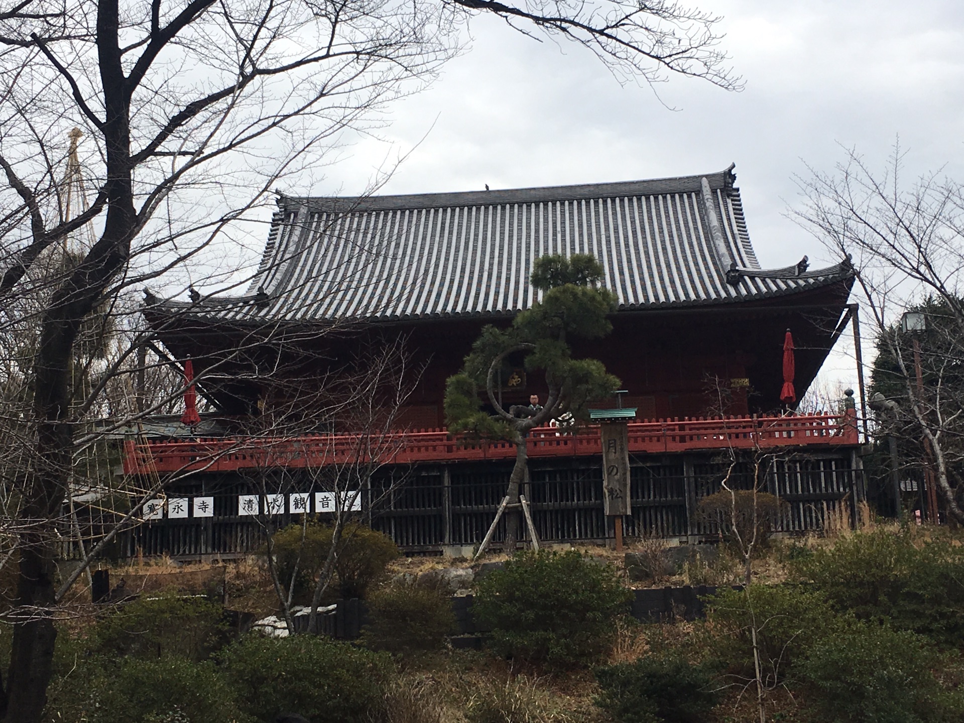 東京自助遊攻略