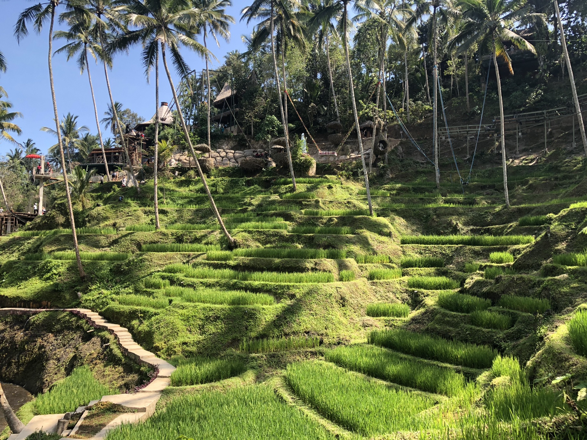 巴釐島自助遊攻略