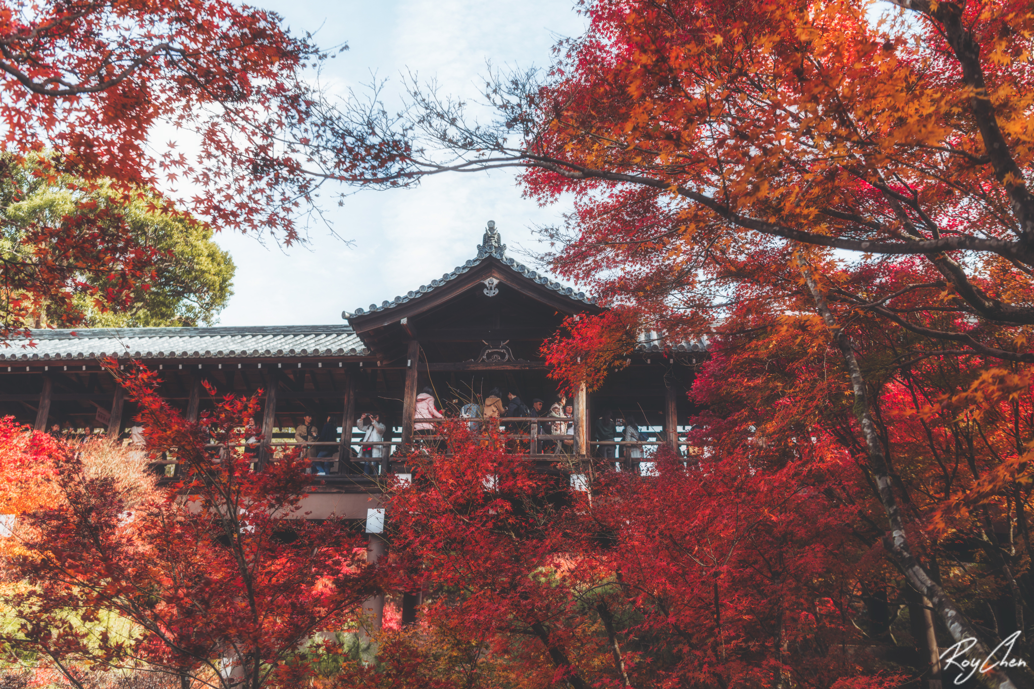 京都自助遊攻略