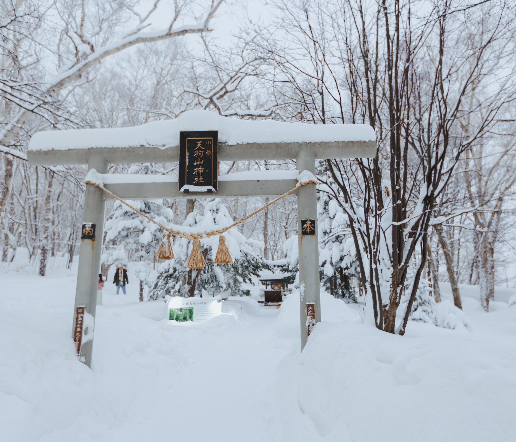 北海道自助遊攻略