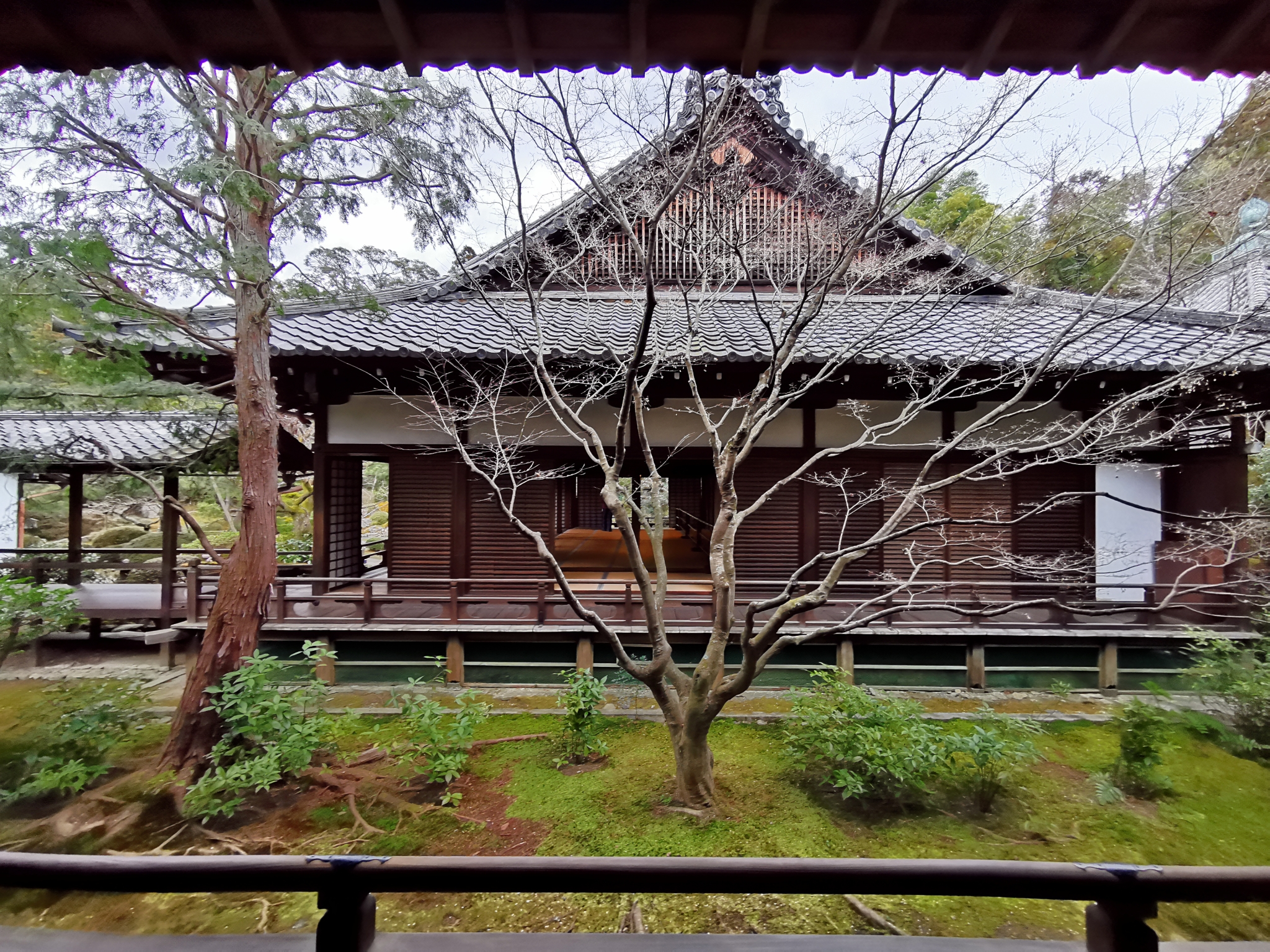 京都自助遊攻略