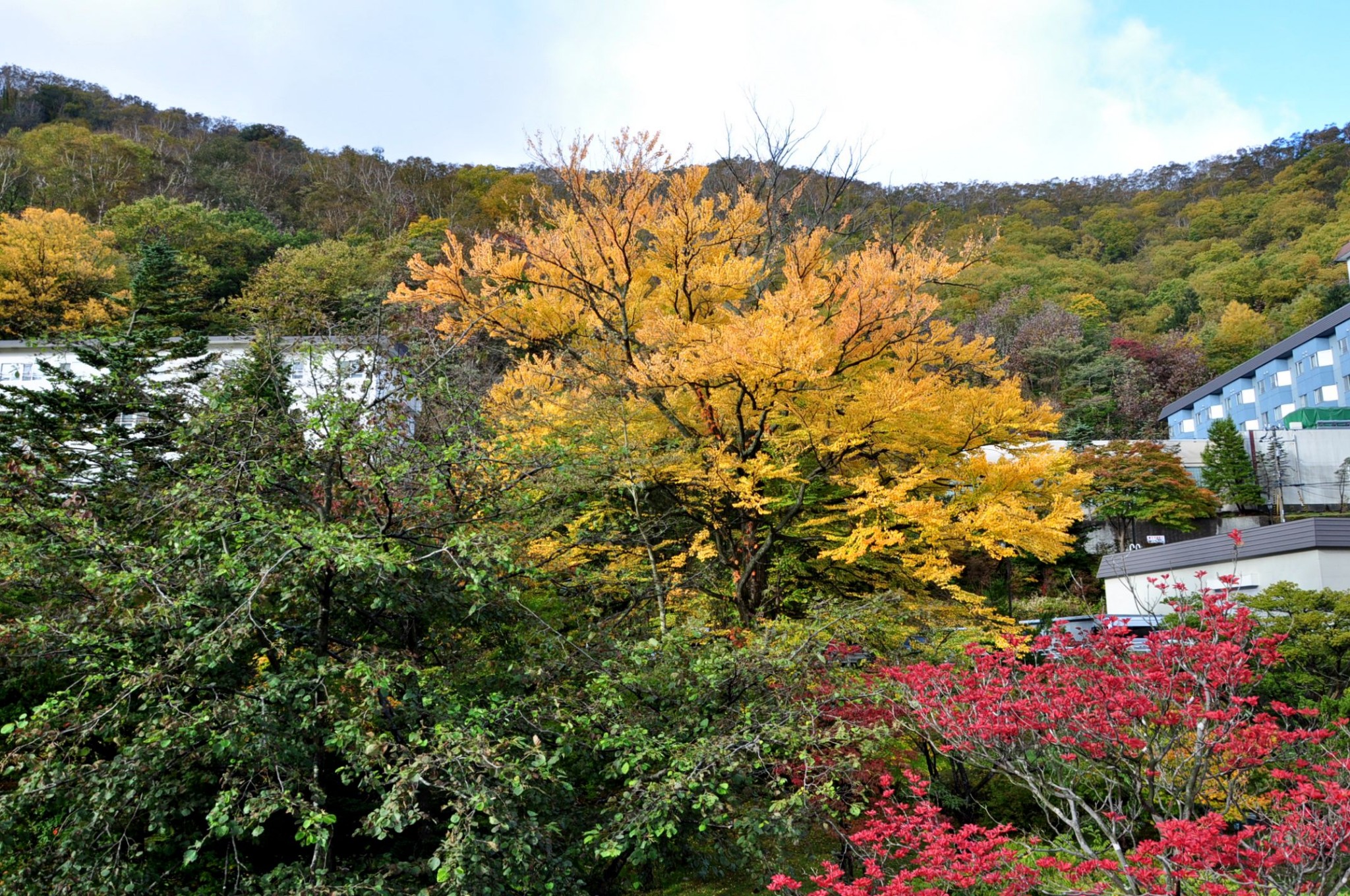 札幌自助遊攻略