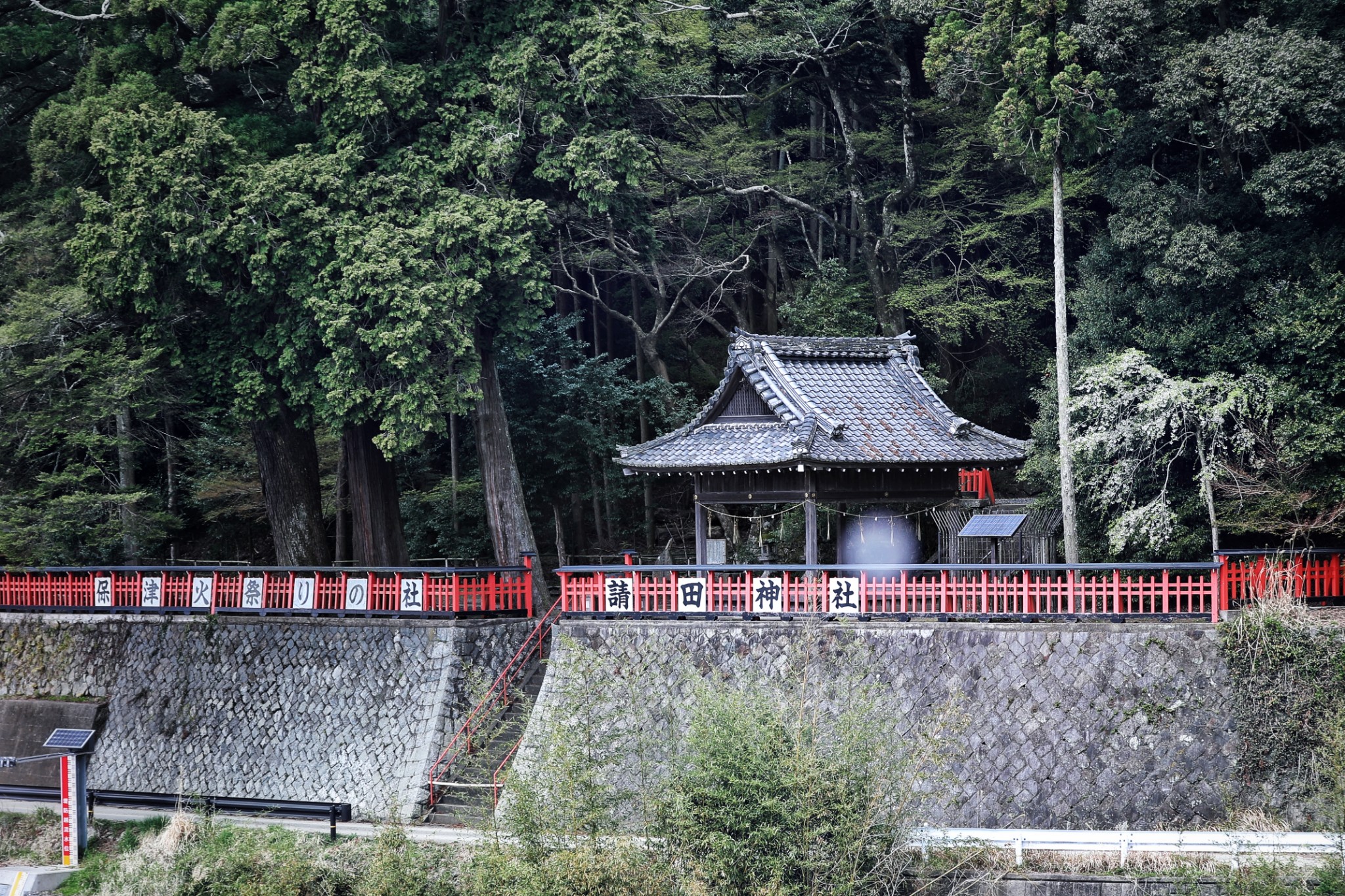 東京自助遊攻略