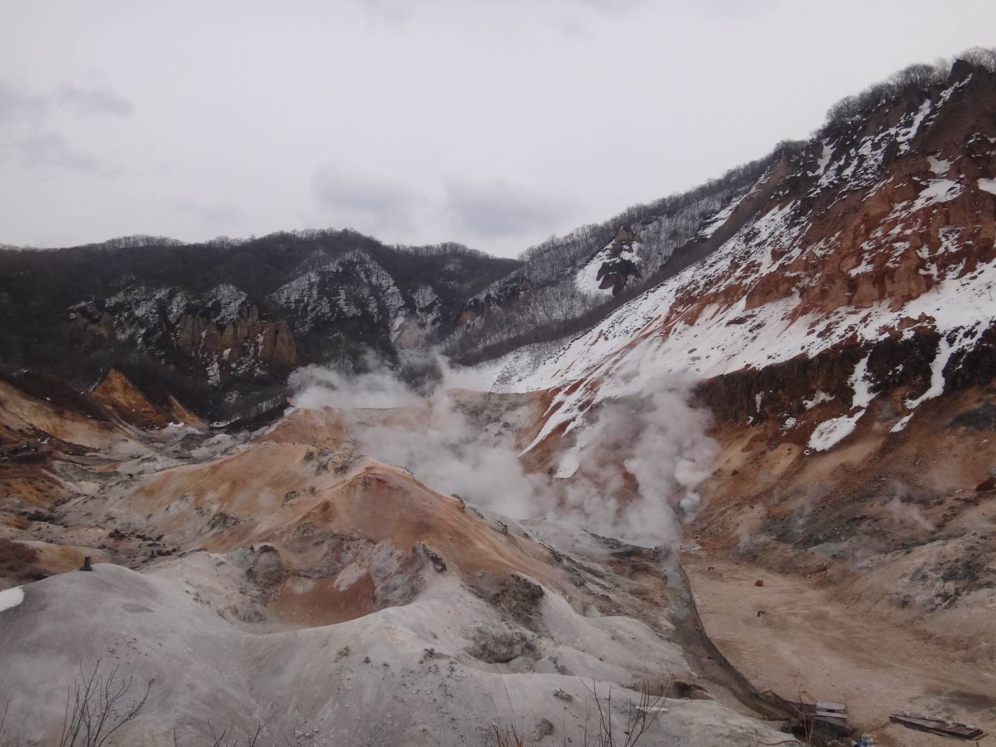 北海道自助遊攻略