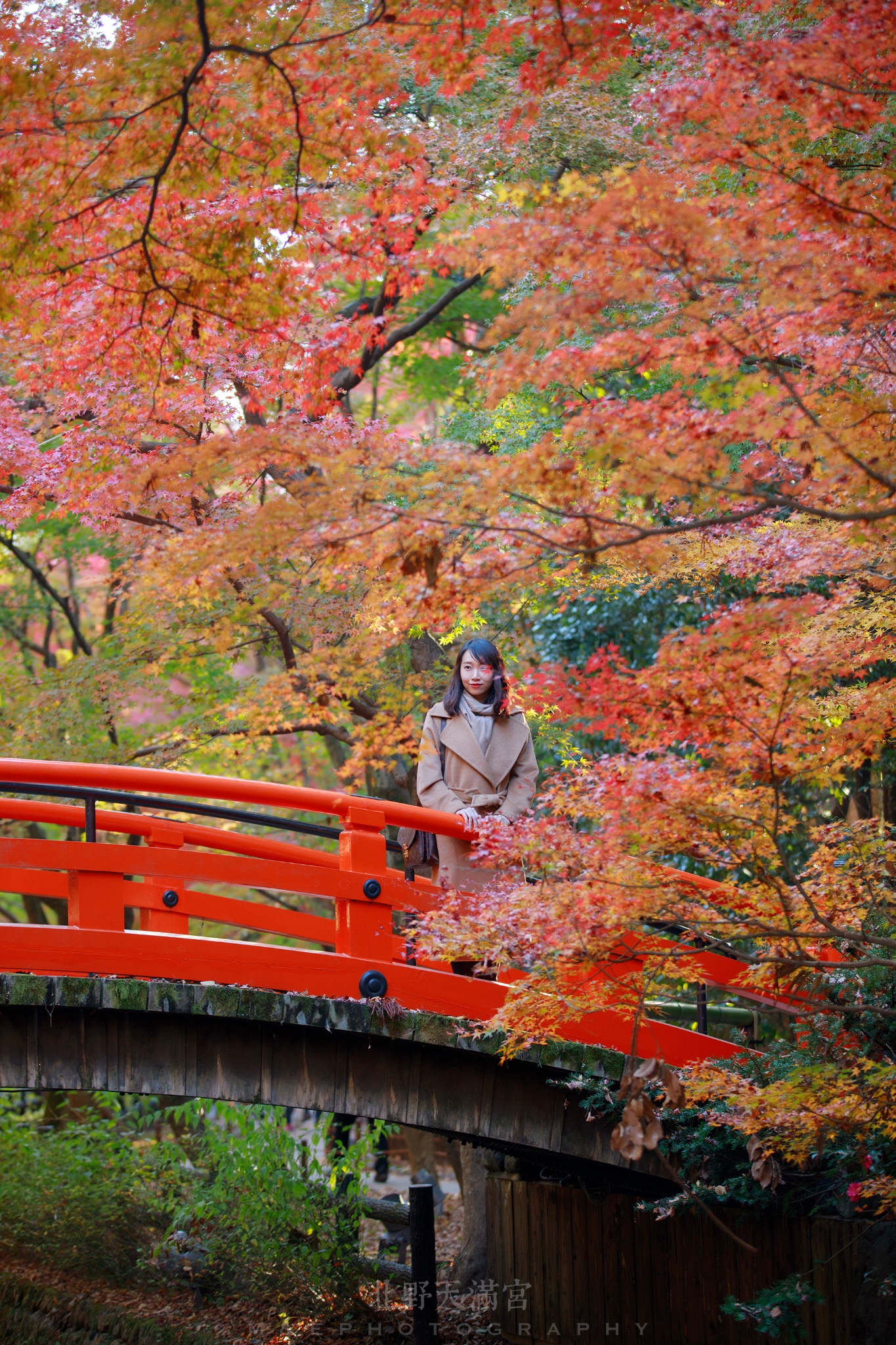 京都自助遊攻略