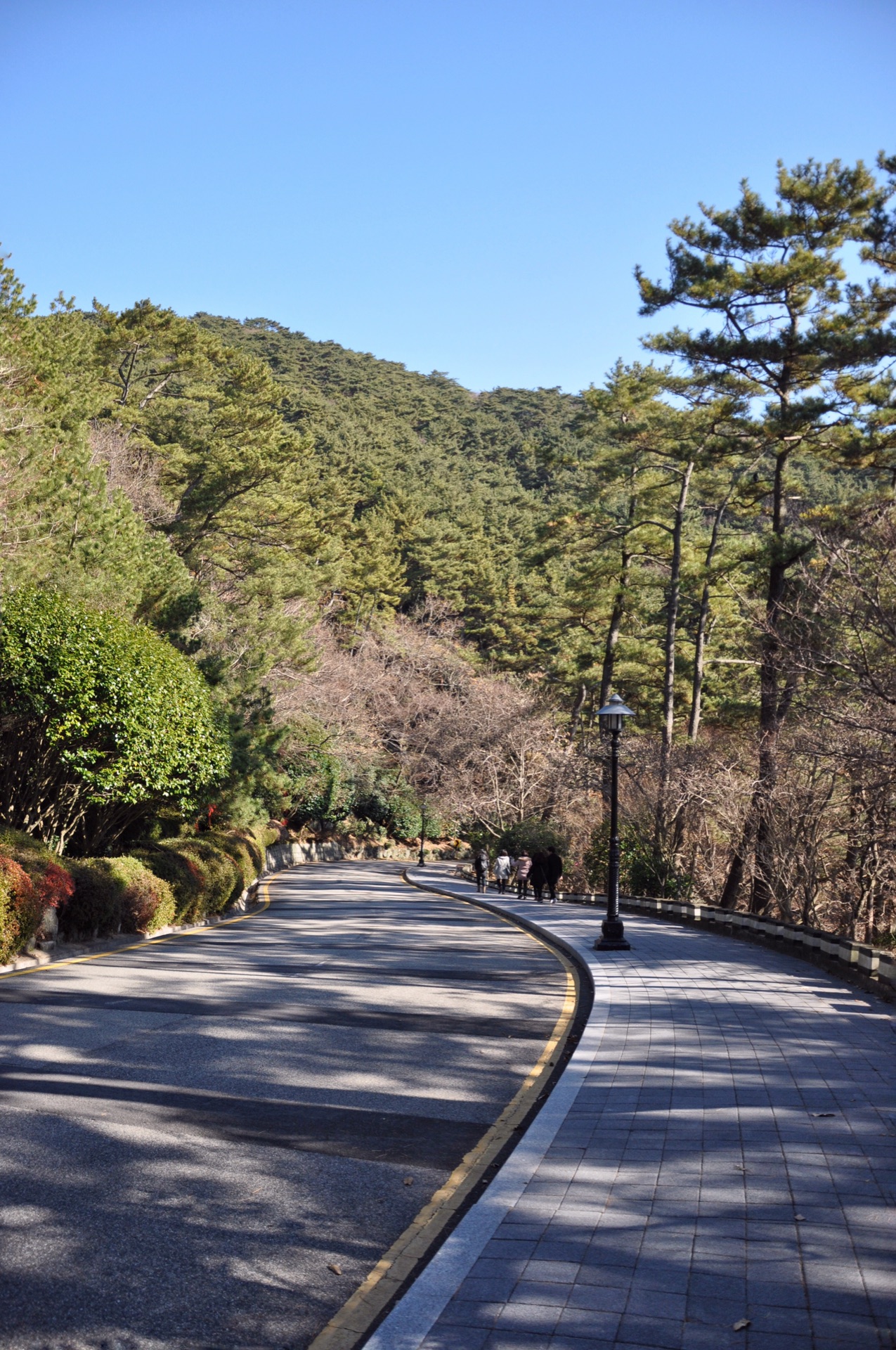 釜山自助遊攻略