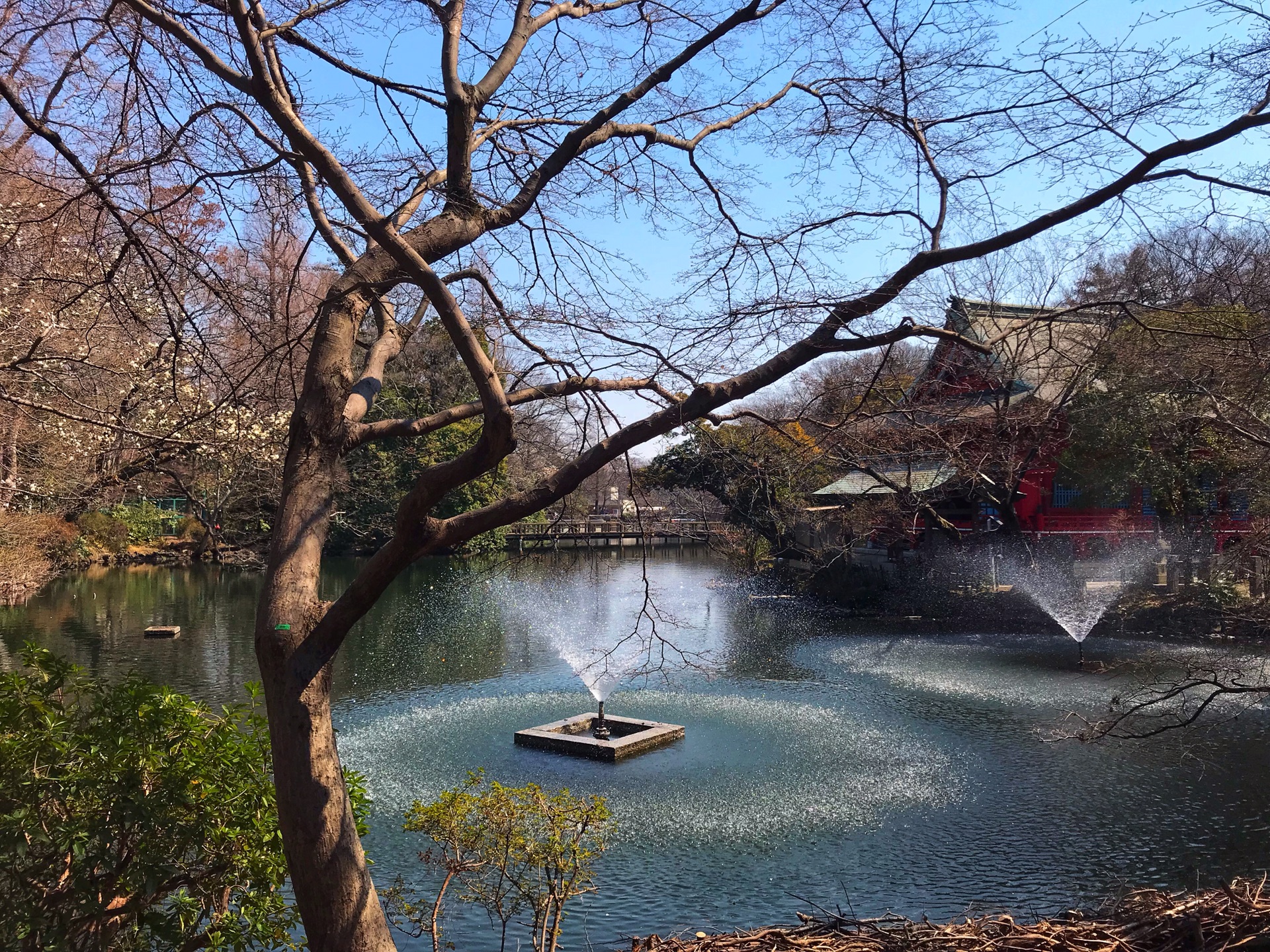 東京自助遊攻略