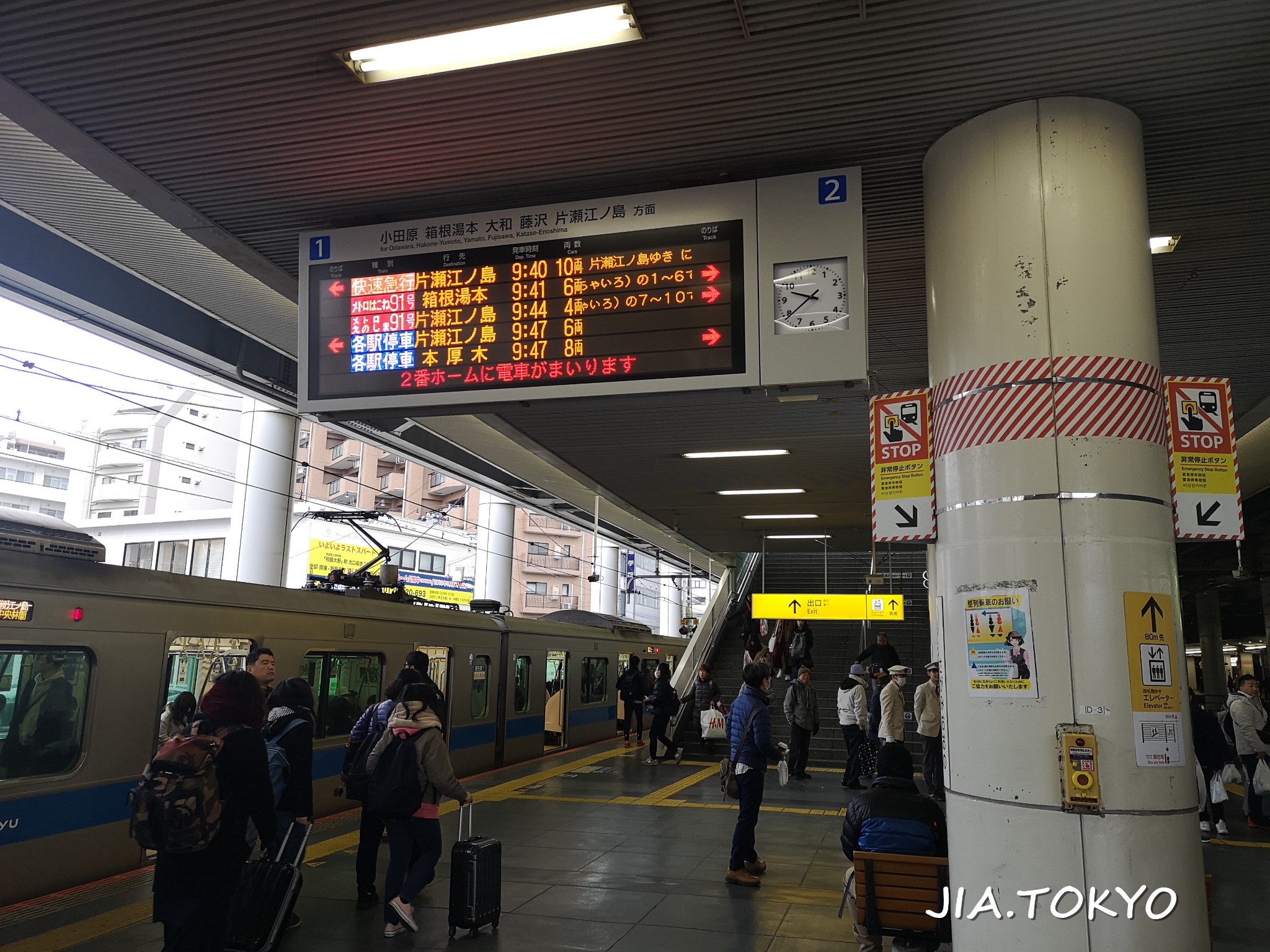 東京自助遊攻略