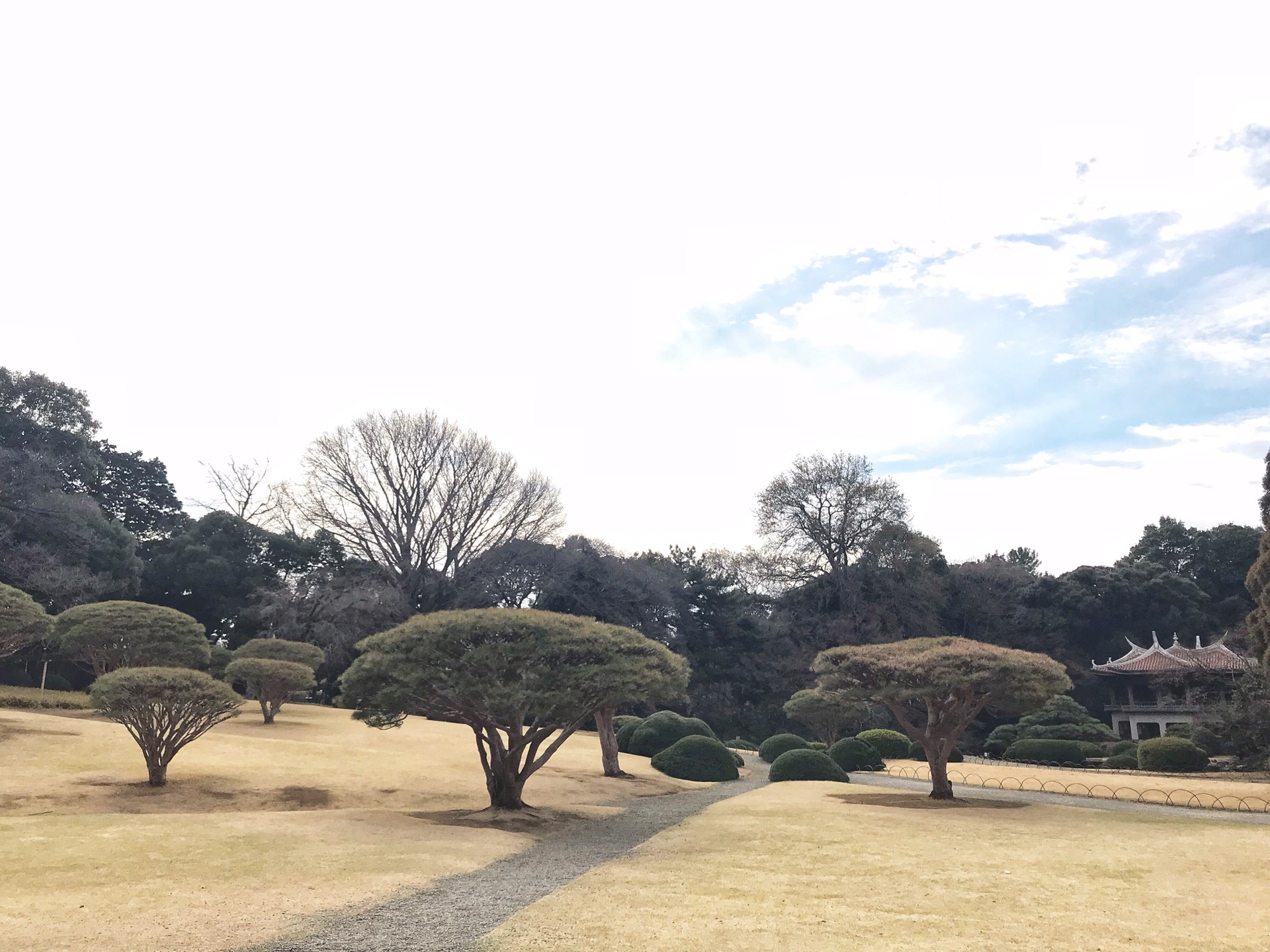 東京自助遊攻略