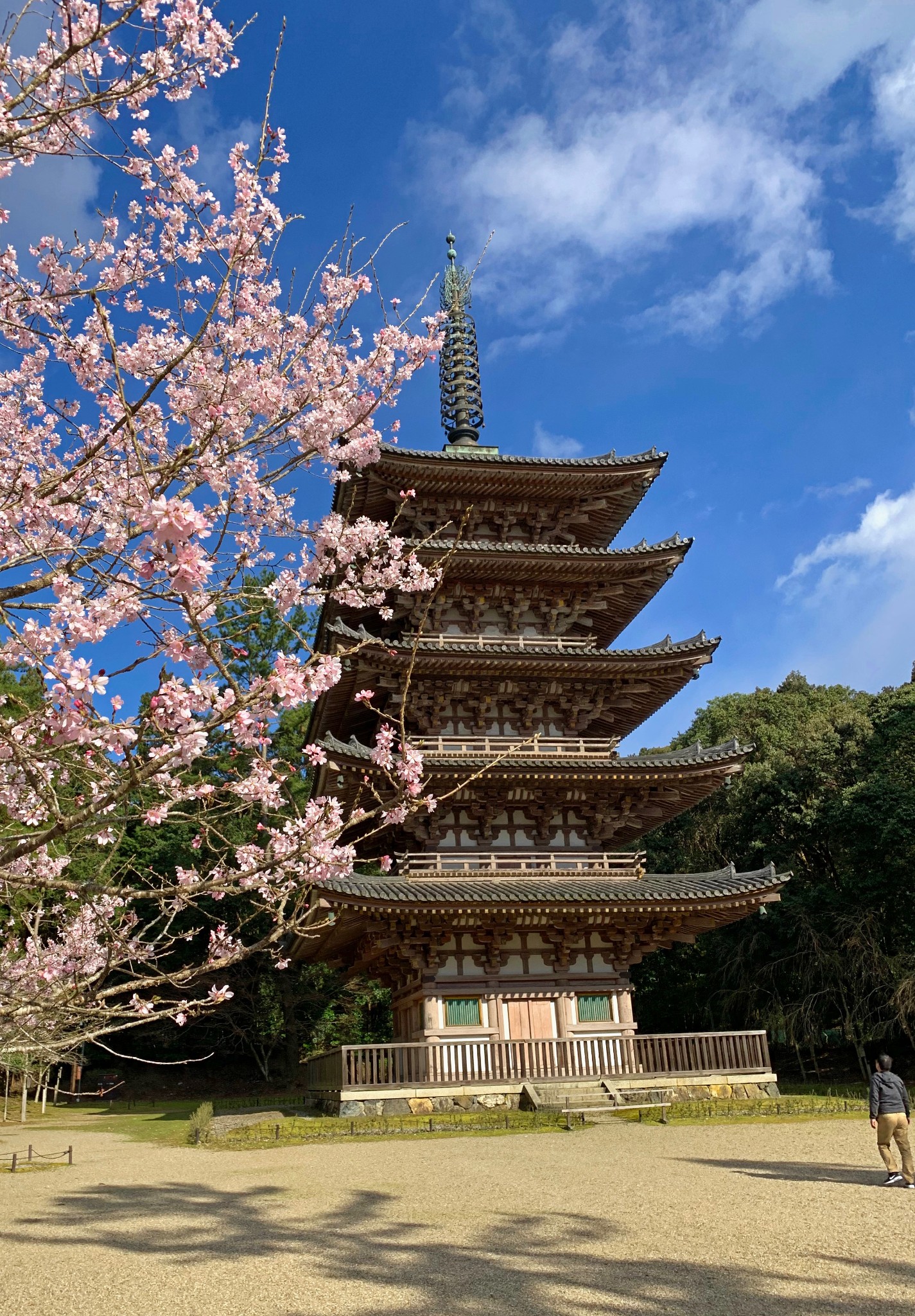 京都自助遊攻略